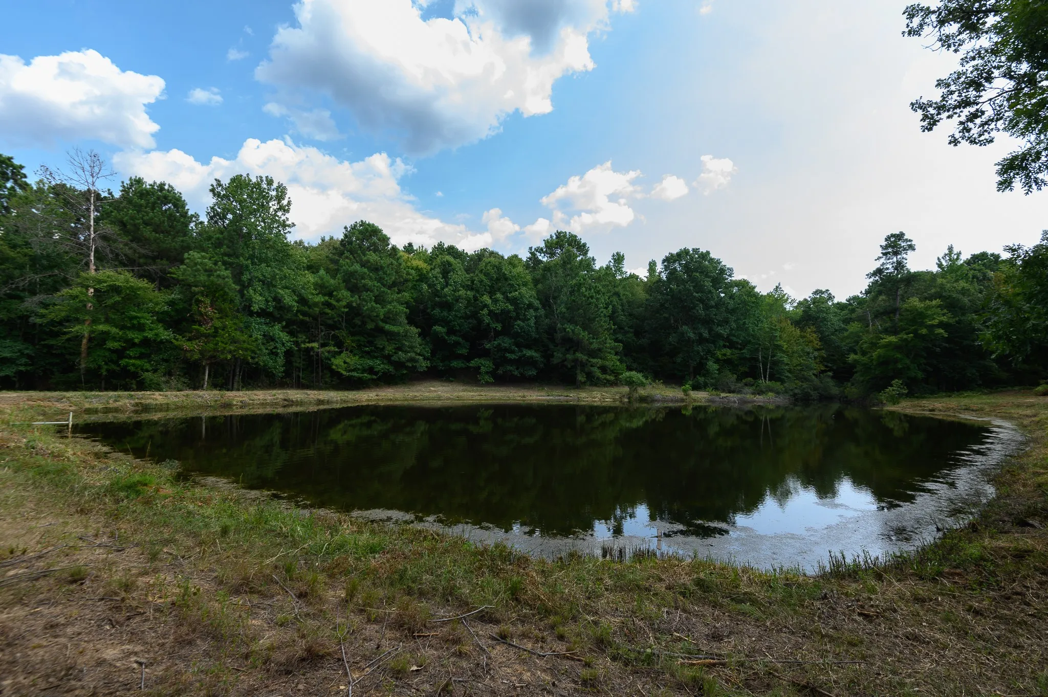 Unimproved Land For Sale in Smith County , TBD CR 246 S, Tyler, Texas 75705, 0, 0, Garage spaces, 0 Sqft, built in 0, mls#21337277, Real Estate Agent in Tyler, Homes For Sale in Smith county, Homes For Sale in Tyler, Realtor in Tyler Texas, Real Estate Brokerage Independent Realty Texas, Luminita Cordes Realtor