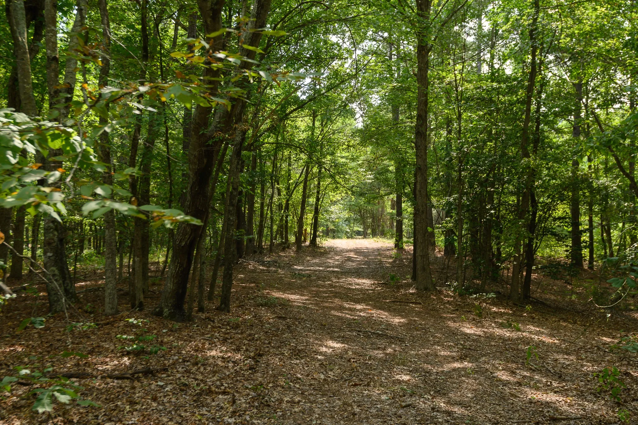 Unimproved Land For Sale in Smith County , TBD CR 246 S, Tyler, Texas 75705, 0, 0, Garage spaces, 0 Sqft, built in 0, mls#21337277, Real Estate Agent in Tyler, Homes For Sale in Smith county, Homes For Sale in Tyler, Realtor in Tyler Texas, Real Estate Brokerage Independent Realty Texas, Luminita Cordes Realtor