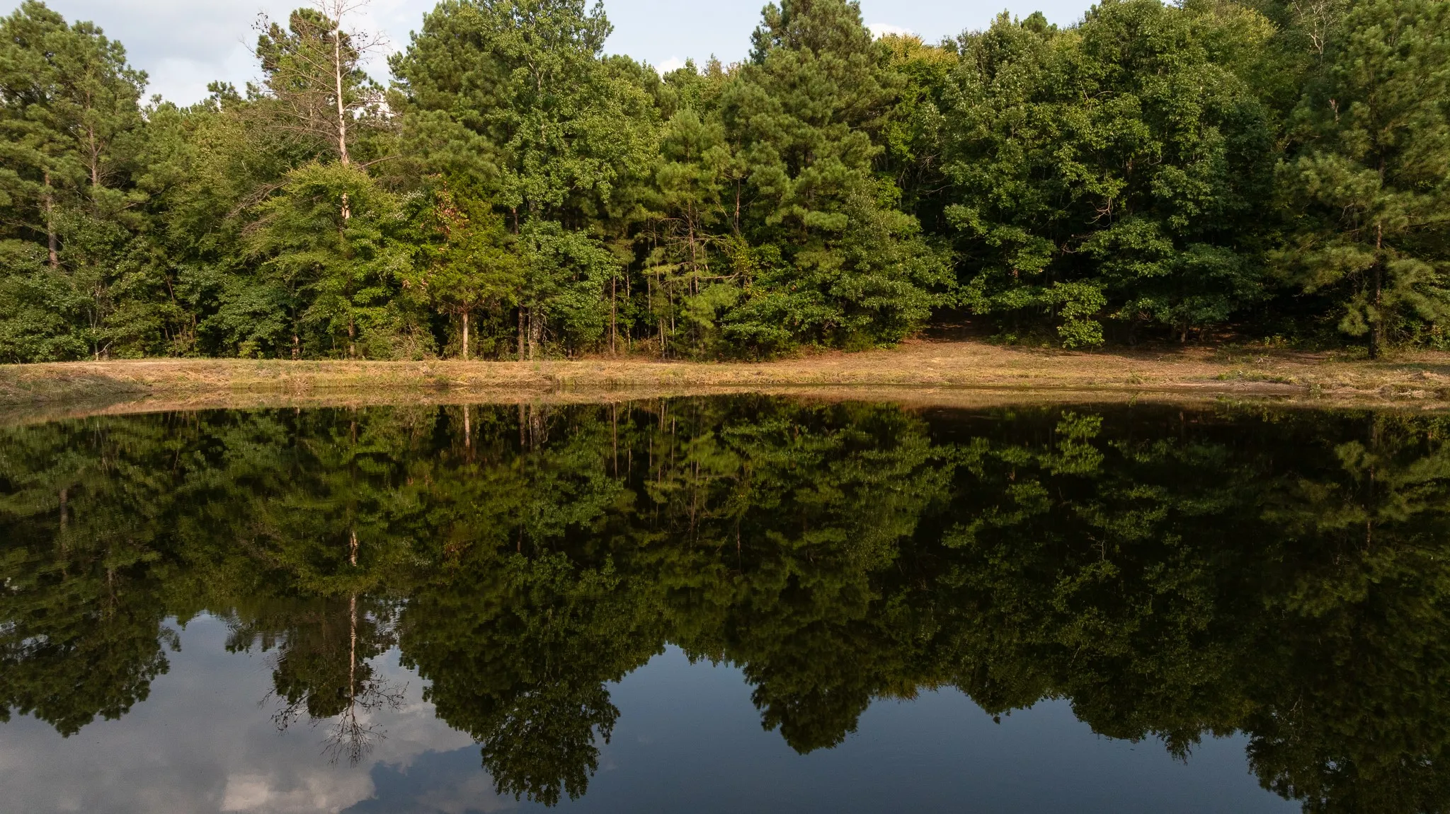 Unimproved Land For Sale in Smith County , TBD CR 246 S, Tyler, Texas 75705, 0, 0, Garage spaces, 0 Sqft, built in 0, mls#21337277, Real Estate Agent in Tyler, Homes For Sale in Smith county, Homes For Sale in Tyler, Realtor in Tyler Texas, Real Estate Brokerage Independent Realty Texas, Luminita Cordes Realtor