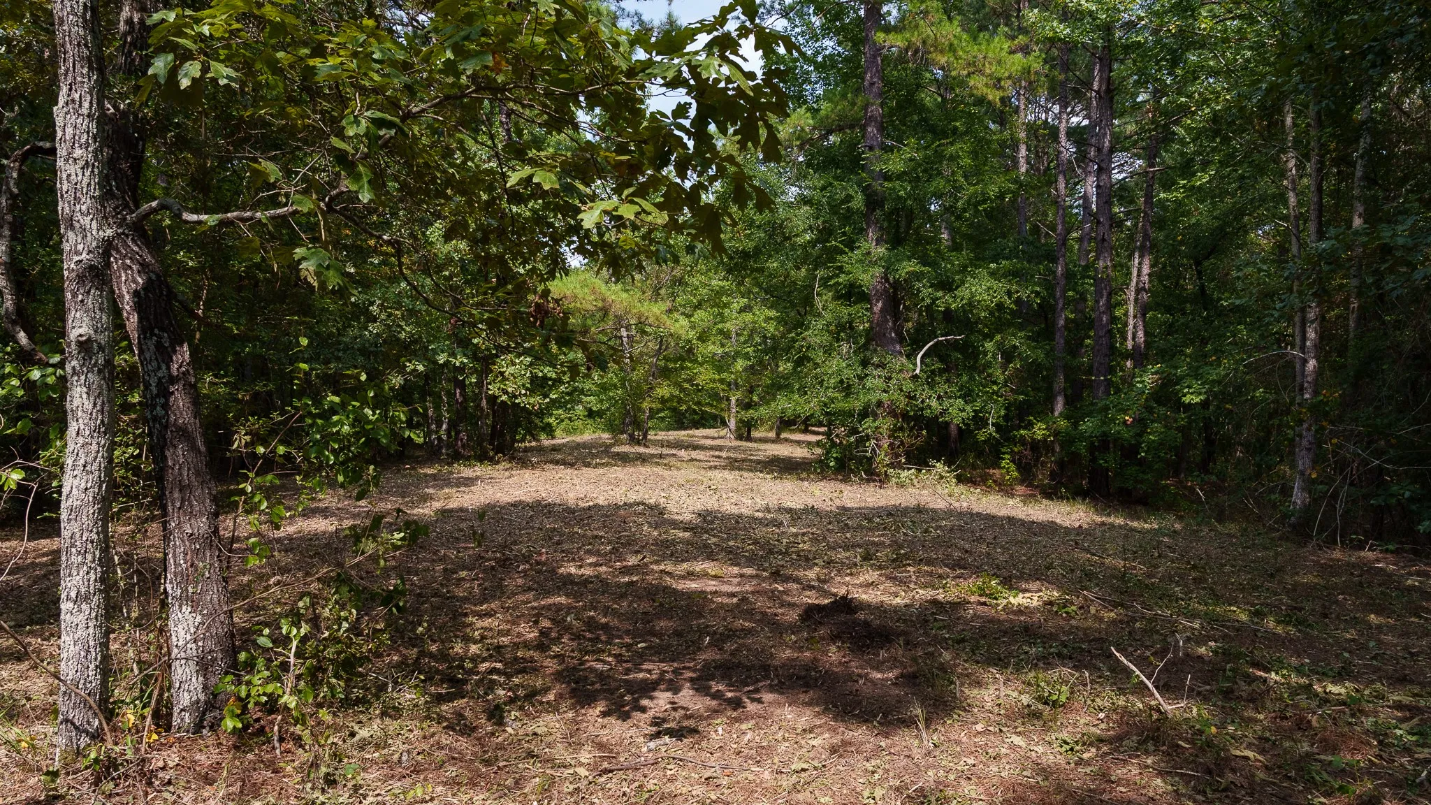 Unimproved Land For Sale in Smith County , TBD CR 246 S, Tyler, Texas 75705, 0, 0, Garage spaces, 0 Sqft, built in 0, mls#21337277, Real Estate Agent in Tyler, Homes For Sale in Smith county, Homes For Sale in Tyler, Realtor in Tyler Texas, Real Estate Brokerage Independent Realty Texas, Luminita Cordes Realtor