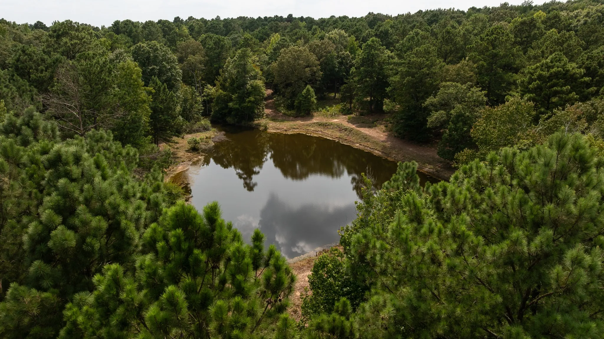 Unimproved Land For Sale in Smith County , TBD CR 246 S, Tyler, Texas 75705, 0, 0, Garage spaces, 0 Sqft, built in 0, mls#21337277, Real Estate Agent in Tyler, Homes For Sale in Smith county, Homes For Sale in Tyler, Realtor in Tyler Texas, Real Estate Brokerage Independent Realty Texas, Luminita Cordes Realtor