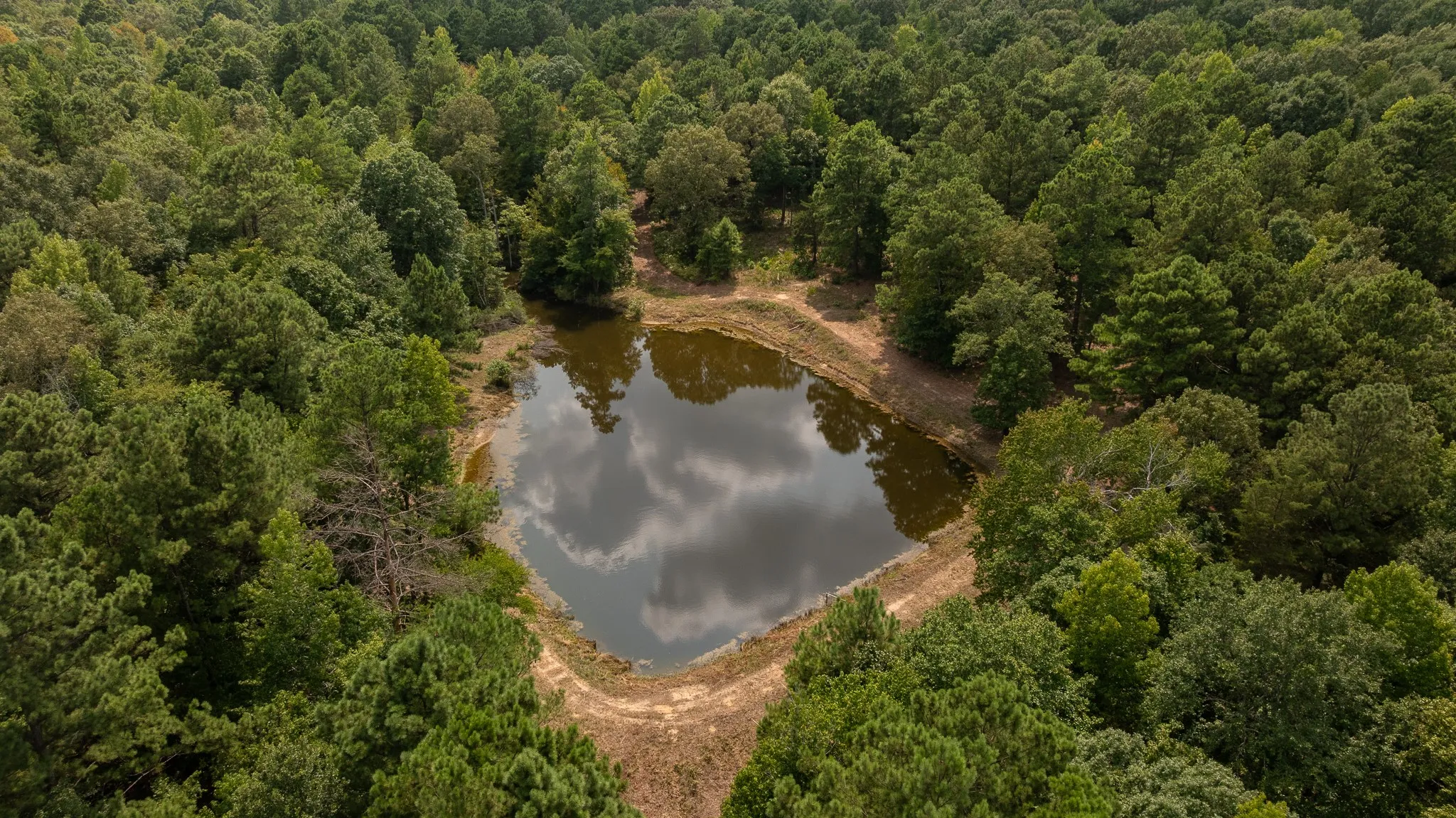 Unimproved Land For Sale in Smith County , TBD CR 246 S, Tyler, Texas 75705, 0, 0, Garage spaces, 0 Sqft, built in 0, mls#21337277, Real Estate Agent in Tyler, Homes For Sale in Smith county, Homes For Sale in Tyler, Realtor in Tyler Texas, Real Estate Brokerage Independent Realty Texas, Luminita Cordes Realtor