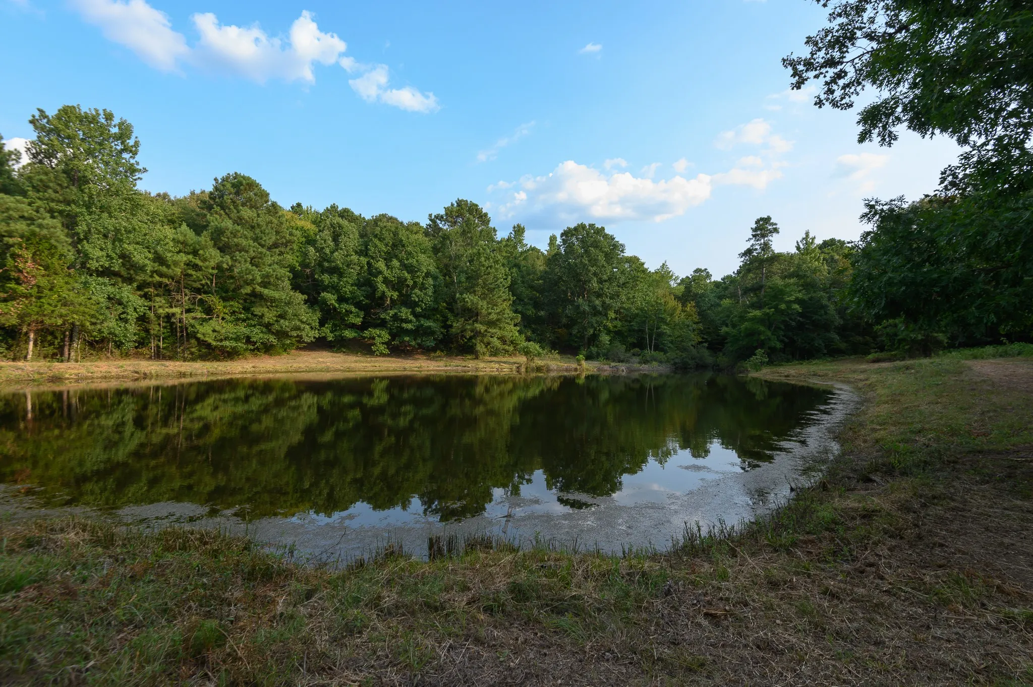 Unimproved Land For Sale in Smith County , TBD CR 246 S, Tyler, Texas 75705, 0, 0, Garage spaces, 0 Sqft, built in 0, mls#21337277, Real Estate Agent in Tyler, Homes For Sale in Smith county, Homes For Sale in Tyler, Realtor in Tyler Texas, Real Estate Brokerage Independent Realty Texas, Luminita Cordes Realtor