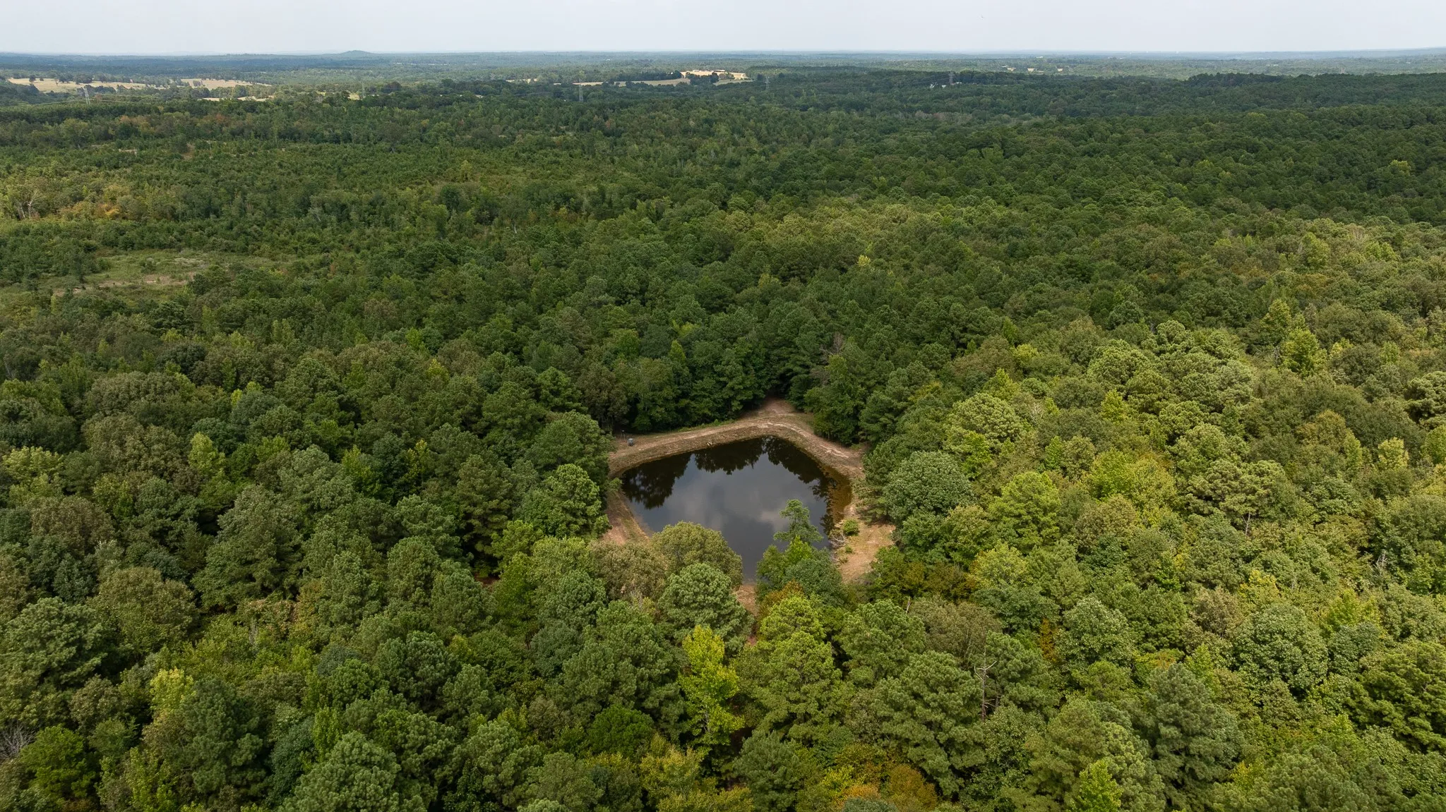 Unimproved Land For Sale in Smith County , TBD CR 246 S, Tyler, Texas 75705, 0, 0, Garage spaces, 0 Sqft, built in 0, mls#21337277, Real Estate Agent in Tyler, Homes For Sale in Smith county, Homes For Sale in Tyler, Realtor in Tyler Texas, Real Estate Brokerage Independent Realty Texas, Luminita Cordes Realtor