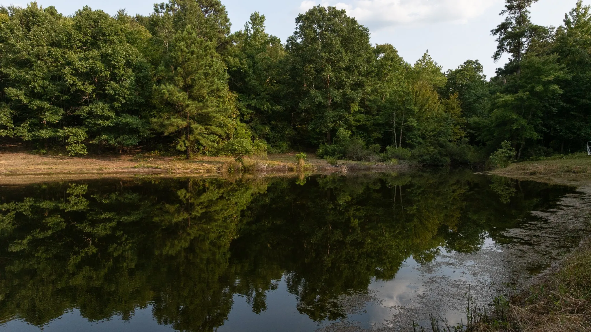 Unimproved Land For Sale in Smith County , TBD CR 246 S, Tyler, Texas 75705, 0, 0, Garage spaces, 0 Sqft, built in 0, mls#21337277, Real Estate Agent in Tyler, Homes For Sale in Smith county, Homes For Sale in Tyler, Realtor in Tyler Texas, Real Estate Brokerage Independent Realty Texas, Luminita Cordes Realtor