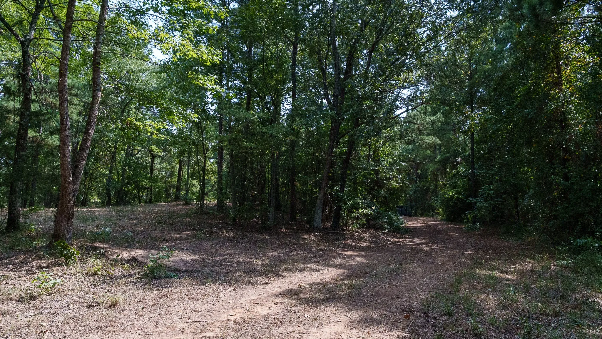 Unimproved Land For Sale in Smith County , TBD CR 246 S, Tyler, Texas 75705, 0, 0, Garage spaces, 0 Sqft, built in 0, mls#21337277, Real Estate Agent in Tyler, Homes For Sale in Smith county, Homes For Sale in Tyler, Realtor in Tyler Texas, Real Estate Brokerage Independent Realty Texas, Luminita Cordes Realtor