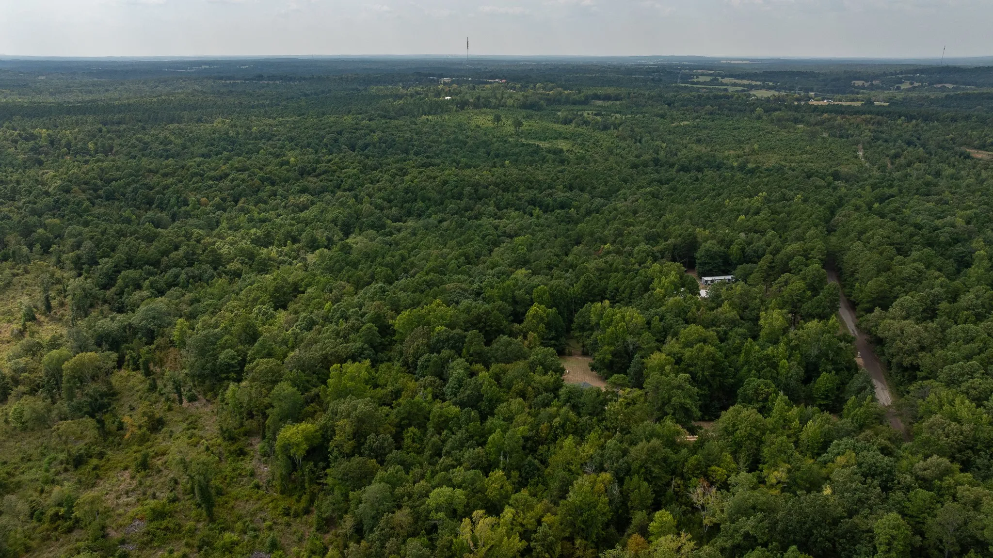Unimproved Land For Sale in Smith County , TBD CR 246 S, Tyler, Texas 75705, 0, 0, Garage spaces, 0 Sqft, built in 0, mls#21337277, Real Estate Agent in Tyler, Homes For Sale in Smith county, Homes For Sale in Tyler, Realtor in Tyler Texas, Real Estate Brokerage Independent Realty Texas, Luminita Cordes Realtor