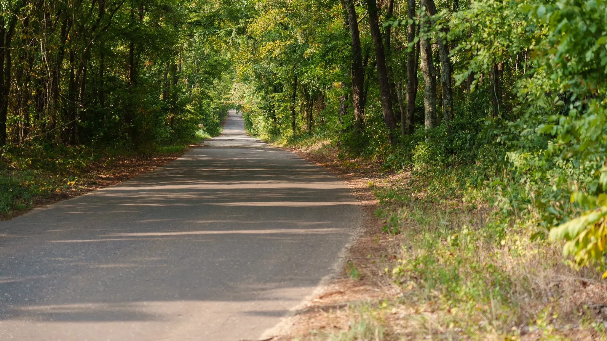Unimproved Land For Sale in Smith County , TBD CR 246 S, Tyler, Texas 75705, 0, 0, Garage spaces, 0 Sqft, built in 0, mls#21337277, Real Estate Agent in Tyler, Homes For Sale in Smith county, Homes For Sale in Tyler, Realtor in Tyler Texas, Real Estate Brokerage Independent Realty Texas, Luminita Cordes Realtor