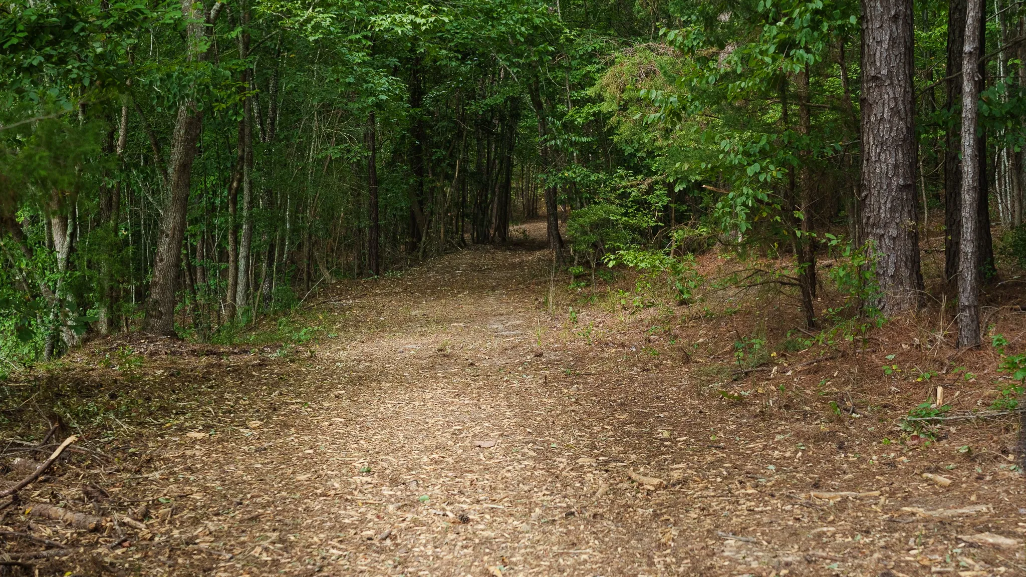 Unimproved Land For Sale in Smith County , TBD CR 246 S, Tyler, Texas 75705, 0, 0, Garage spaces, 0 Sqft, built in 0, mls#21337277, Real Estate Agent in Tyler, Homes For Sale in Smith county, Homes For Sale in Tyler, Realtor in Tyler Texas, Real Estate Brokerage Independent Realty Texas, Luminita Cordes Realtor