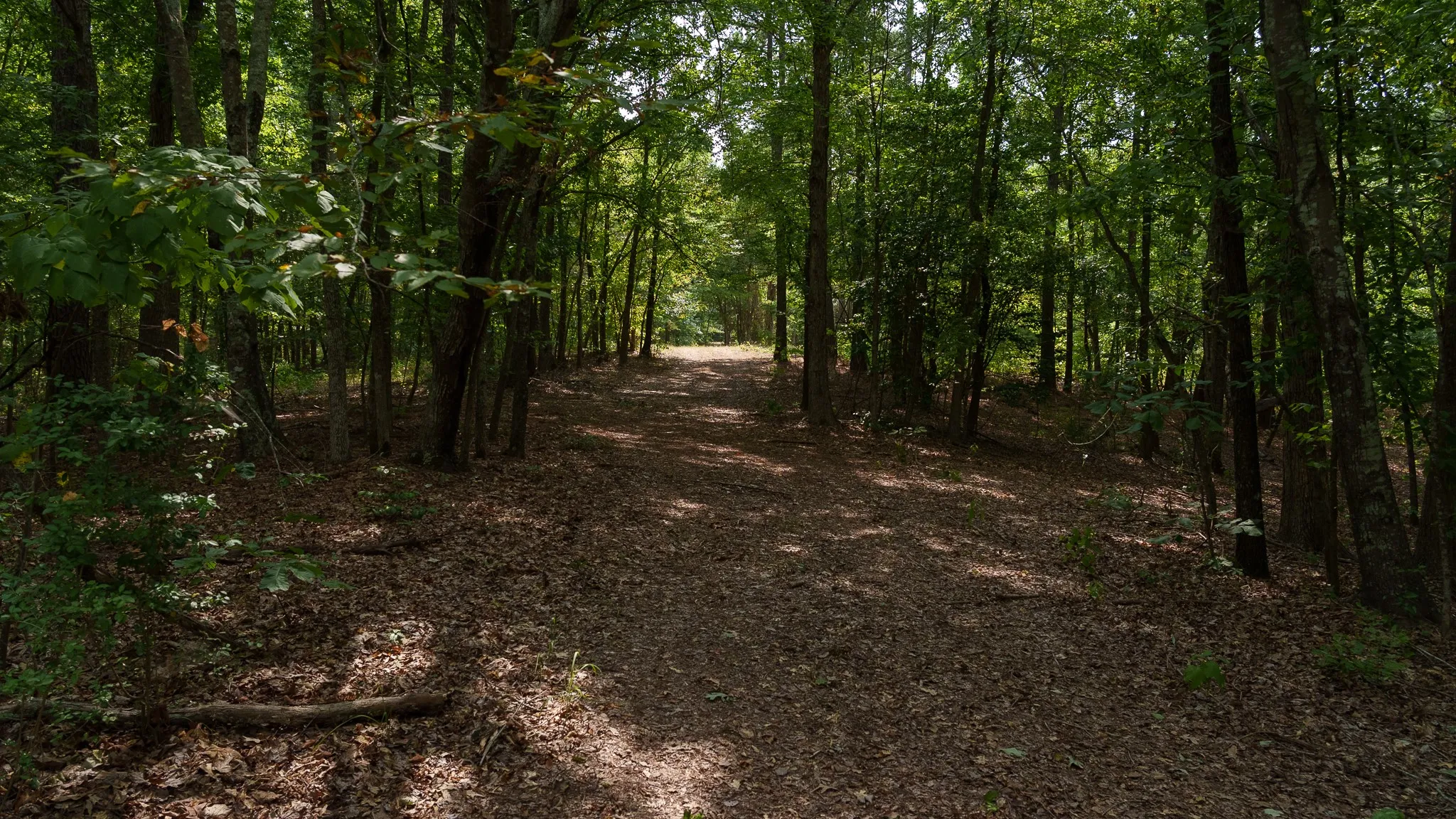 Unimproved Land For Sale in Smith County , TBD CR 246 S, Tyler, Texas 75705, 0, 0, Garage spaces, 0 Sqft, built in 0, mls#21337277, Real Estate Agent in Tyler, Homes For Sale in Smith county, Homes For Sale in Tyler, Realtor in Tyler Texas, Real Estate Brokerage Independent Realty Texas, Luminita Cordes Realtor