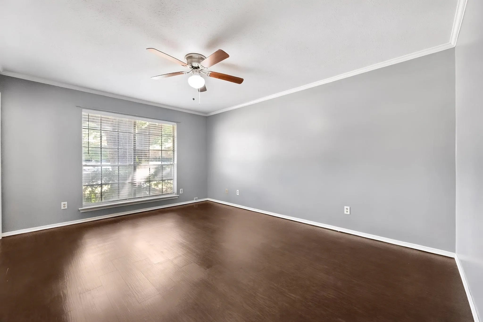 Expansive room featuring wood-finish flooring, a large window with blinds, a ceiling fan with integrated lighting, and crown molding