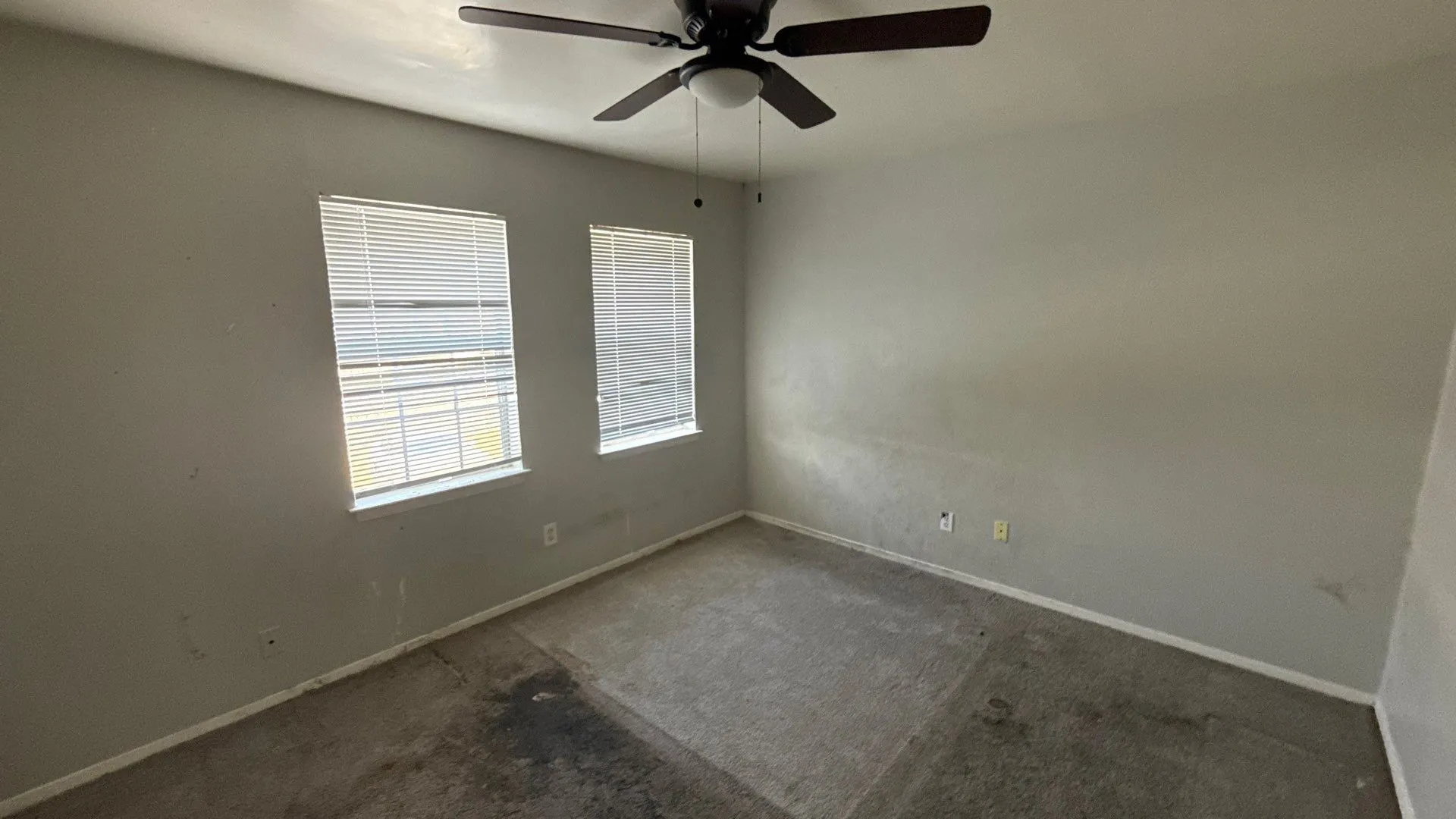 Recessed windows with blinds, ceiling fan with light fixture, wall-to-wall carpeting