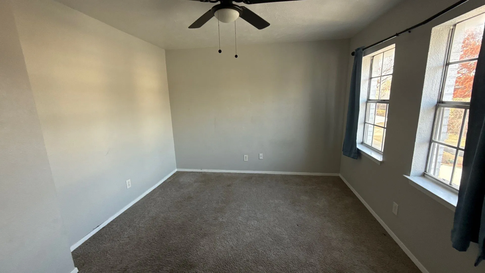 Two large windows, ceiling fan with light fixture, neutral wall color, and carpeted flooring