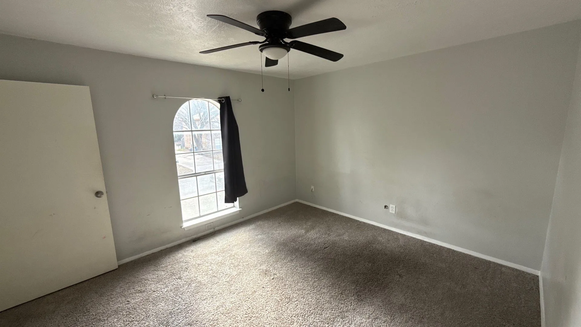Arched window with gridded panes, ceiling fan light fixture, light gray walls, and carpet flooring