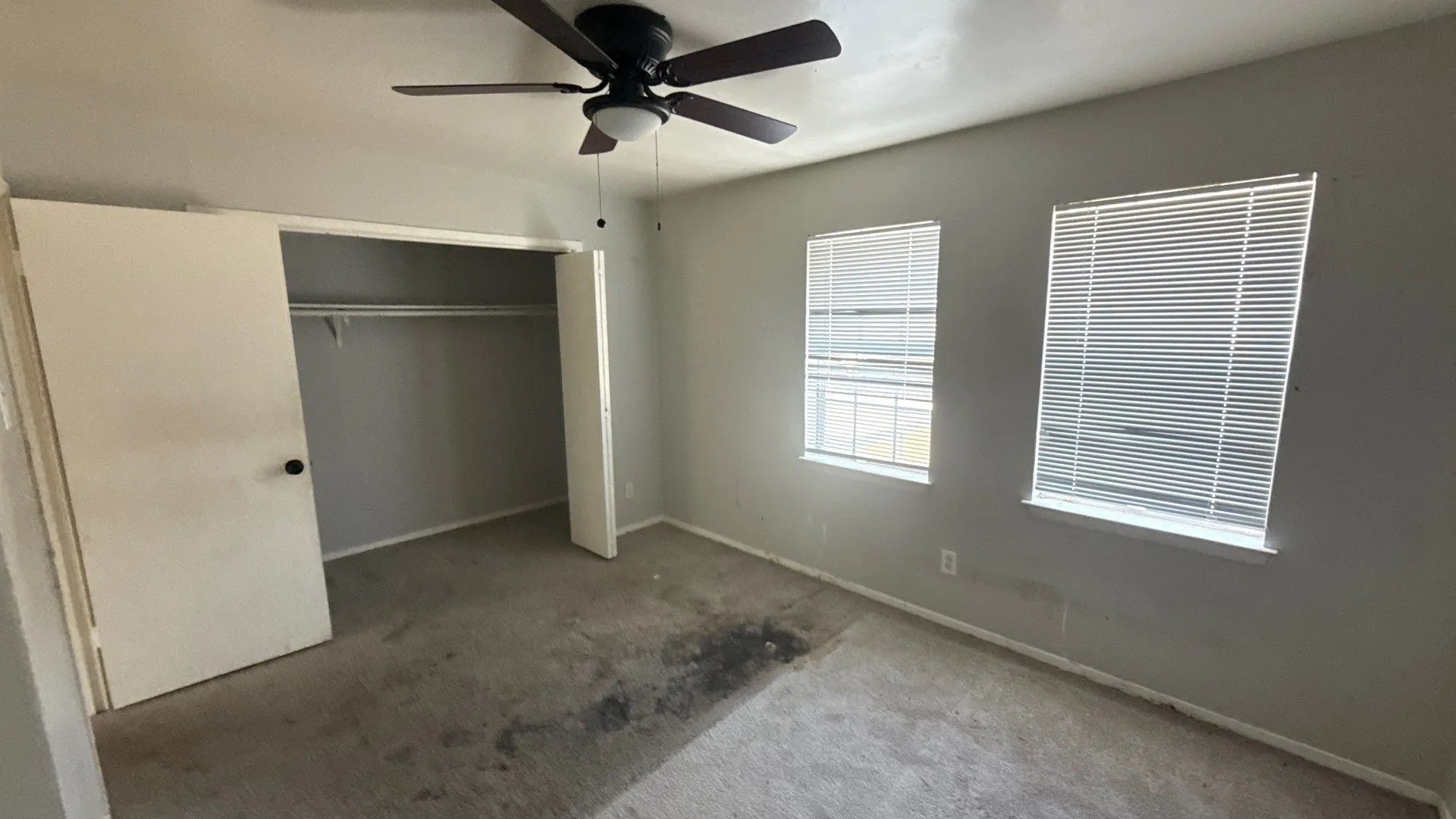 Ceiling fan with light fixture, two windows with blinds, sliding closet doors, built-in closet shelving, and carpeting