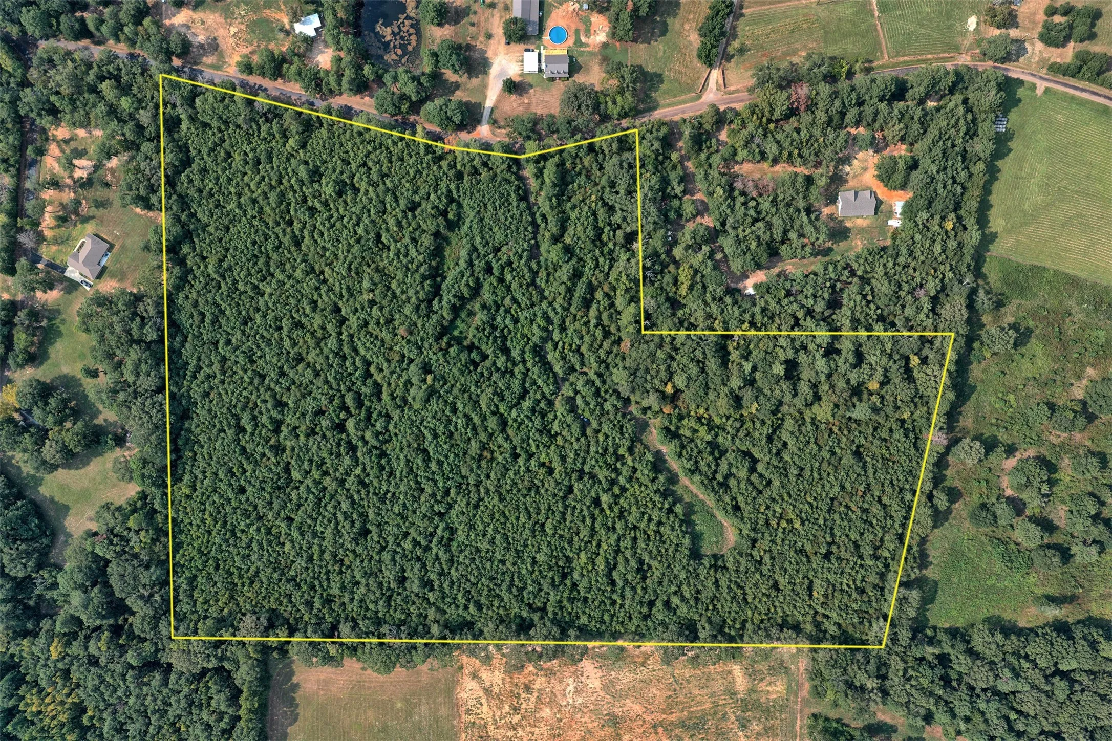 Unimproved Land For Sale in Panola County , 00 County Road 164, Long Branch, Texas 75669, 0, 0, Garage spaces, 0 Sqft, built in 0, mls#21355904, Real Estate Agent in Long Branch, Homes For Sale in Panola county, Homes For Sale in Long Branch, Realtor in Long Branch Texas, Real Estate Brokerage Independent Realty Texas, Luminita Cordes Realtor