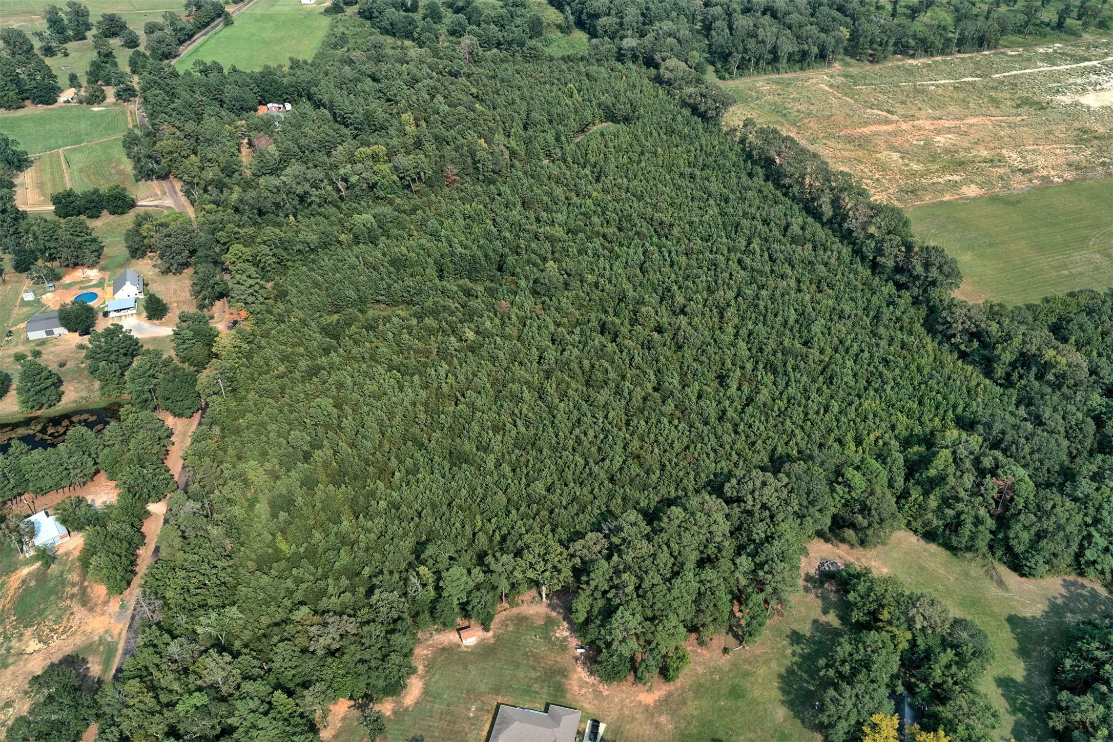 Unimproved Land For Sale in Panola County , 00 County Road 164, Long Branch, Texas 75669, 0, 0, Garage spaces, 0 Sqft, built in 0, mls#21355904, Real Estate Agent in Long Branch, Homes For Sale in Panola county, Homes For Sale in Long Branch, Realtor in Long Branch Texas, Real Estate Brokerage Independent Realty Texas, Luminita Cordes Realtor