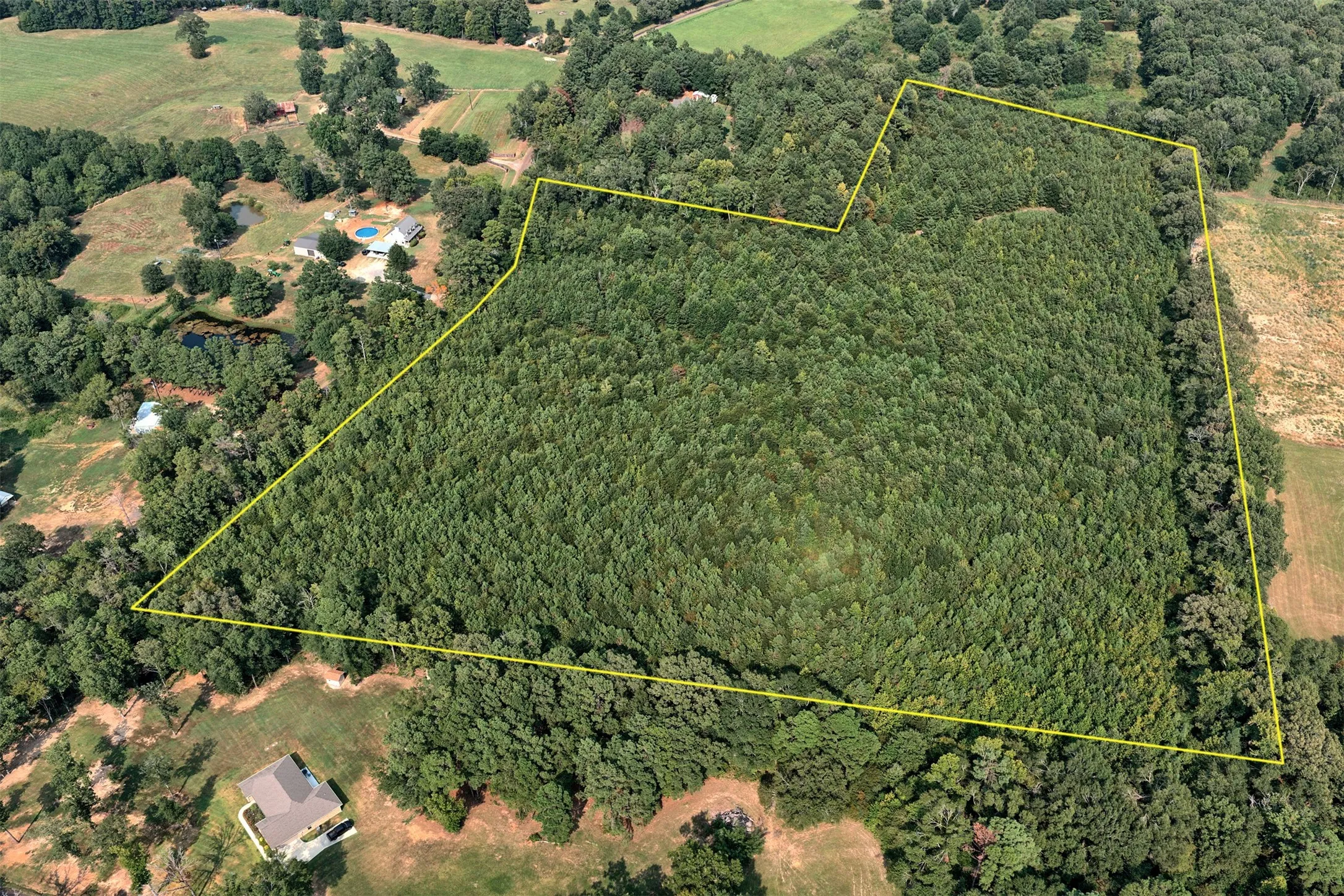 Unimproved Land For Sale in Panola County , 00 County Road 164, Long Branch, Texas 75669, 0, 0, Garage spaces, 0 Sqft, built in 0, mls#21355904, Real Estate Agent in Long Branch, Homes For Sale in Panola county, Homes For Sale in Long Branch, Realtor in Long Branch Texas, Real Estate Brokerage Independent Realty Texas, Luminita Cordes Realtor