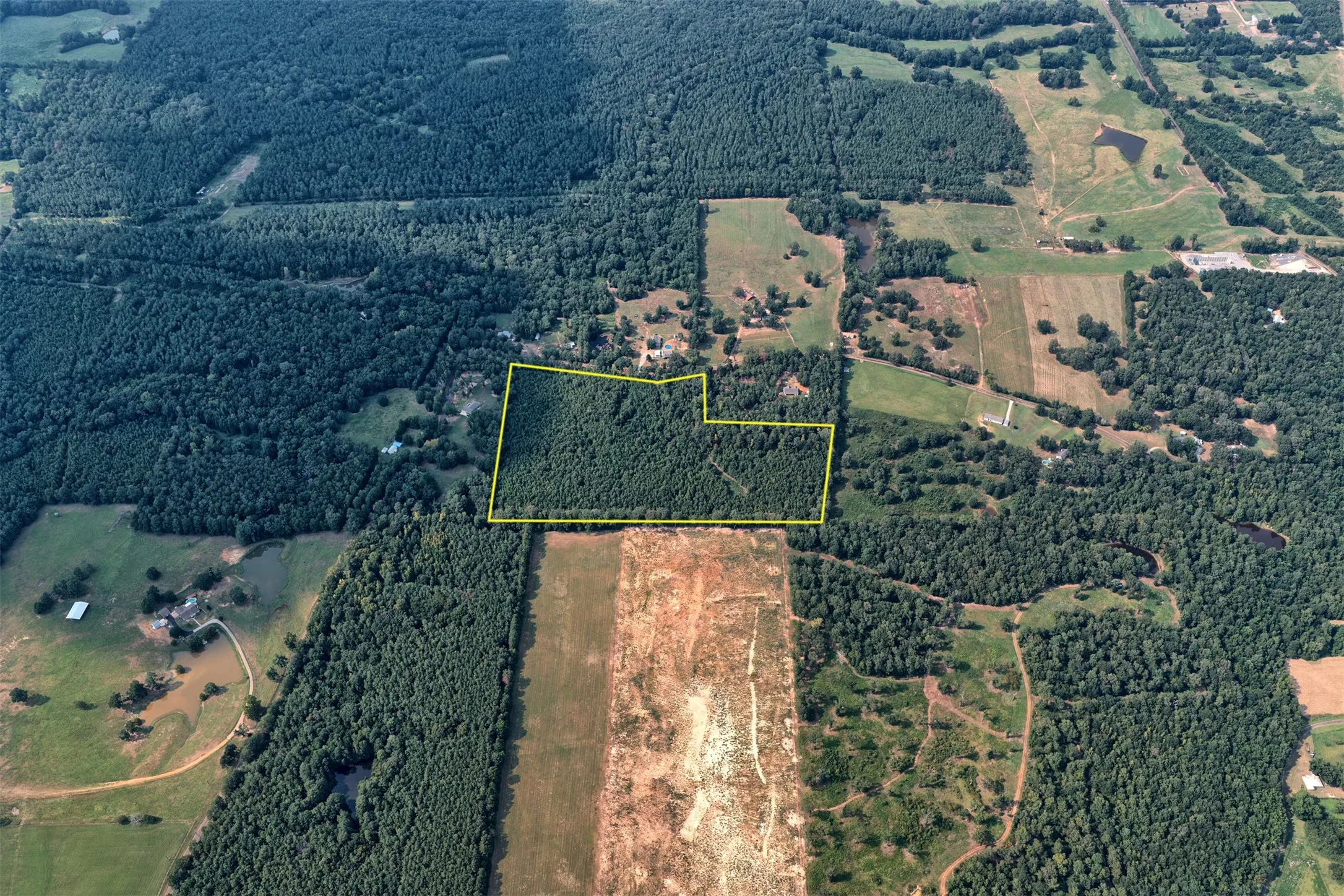 Unimproved Land For Sale in Panola County , 00 County Road 164, Long Branch, Texas 75669, 0, 0, Garage spaces, 0 Sqft, built in 0, mls#21355904, Real Estate Agent in Long Branch, Homes For Sale in Panola county, Homes For Sale in Long Branch, Realtor in Long Branch Texas, Real Estate Brokerage Independent Realty Texas, Luminita Cordes Realtor