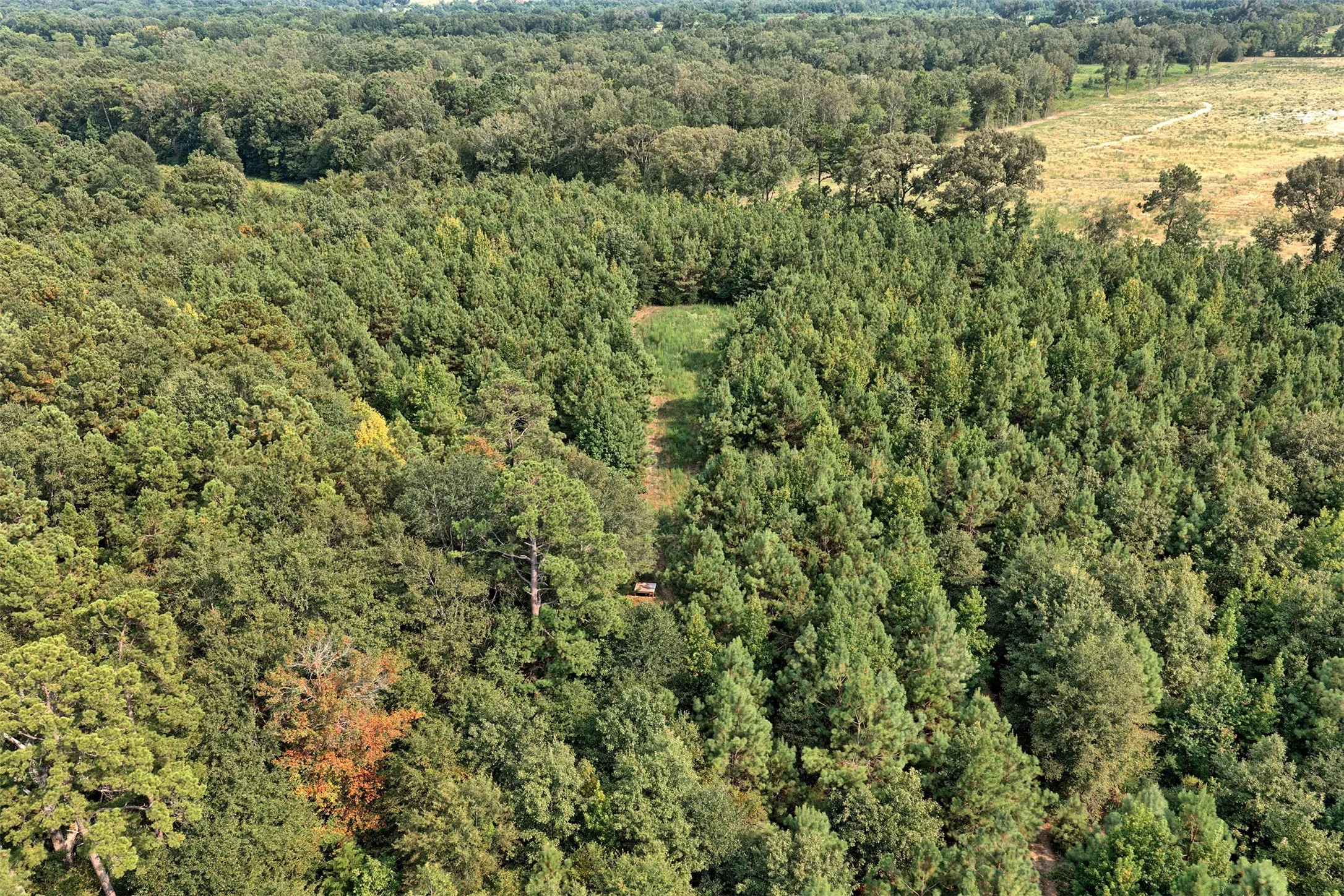 Unimproved Land For Sale in Panola County , 00 County Road 164, Long Branch, Texas 75669, 0, 0, Garage spaces, 0 Sqft, built in 0, mls#21355904, Real Estate Agent in Long Branch, Homes For Sale in Panola county, Homes For Sale in Long Branch, Realtor in Long Branch Texas, Real Estate Brokerage Independent Realty Texas, Luminita Cordes Realtor