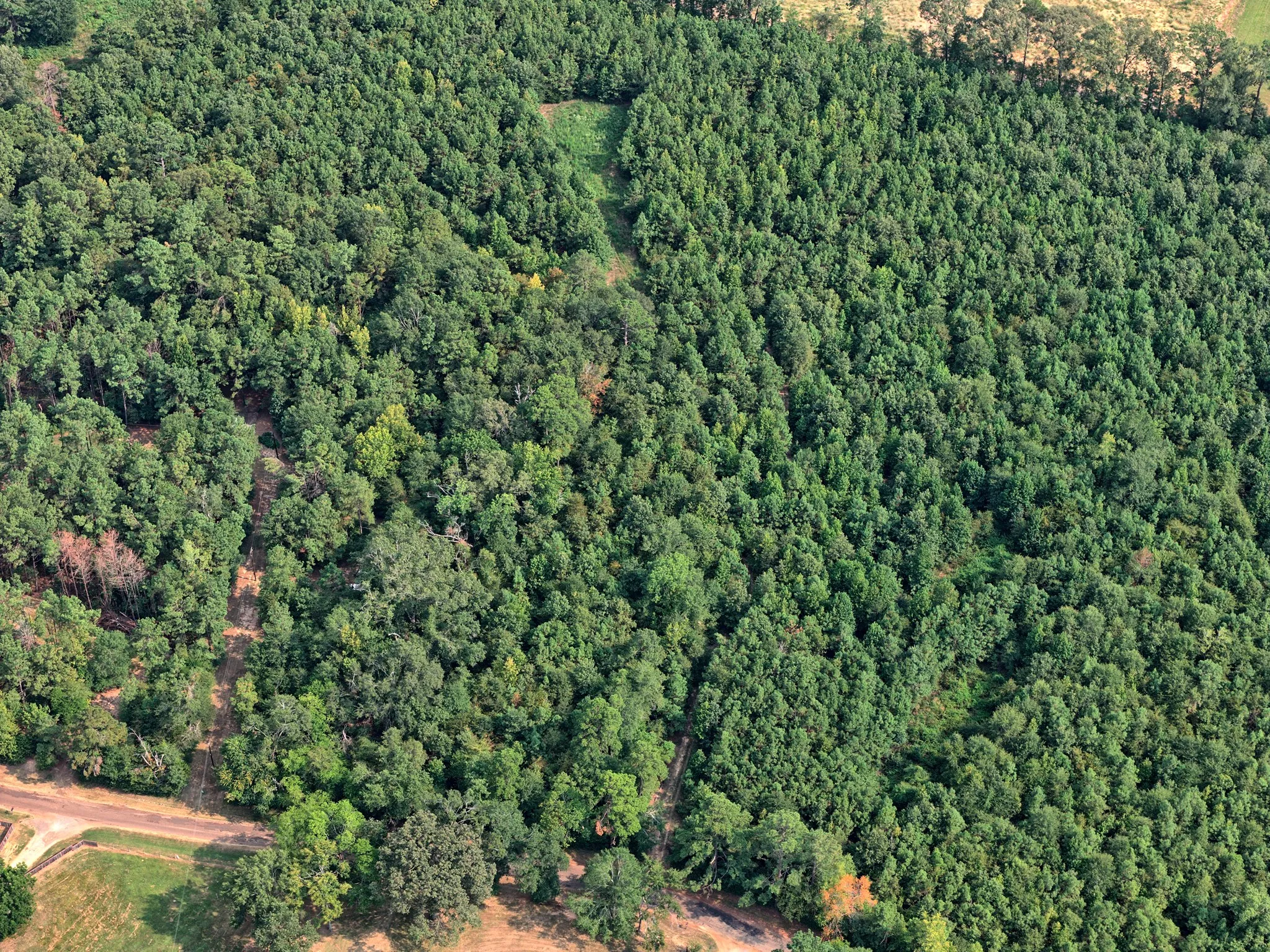 Unimproved Land For Sale in Panola County , 00 County Road 164, Long Branch, Texas 75669, 0, 0, Garage spaces, 0 Sqft, built in 0, mls#21355904, Real Estate Agent in Long Branch, Homes For Sale in Panola county, Homes For Sale in Long Branch, Realtor in Long Branch Texas, Real Estate Brokerage Independent Realty Texas, Luminita Cordes Realtor