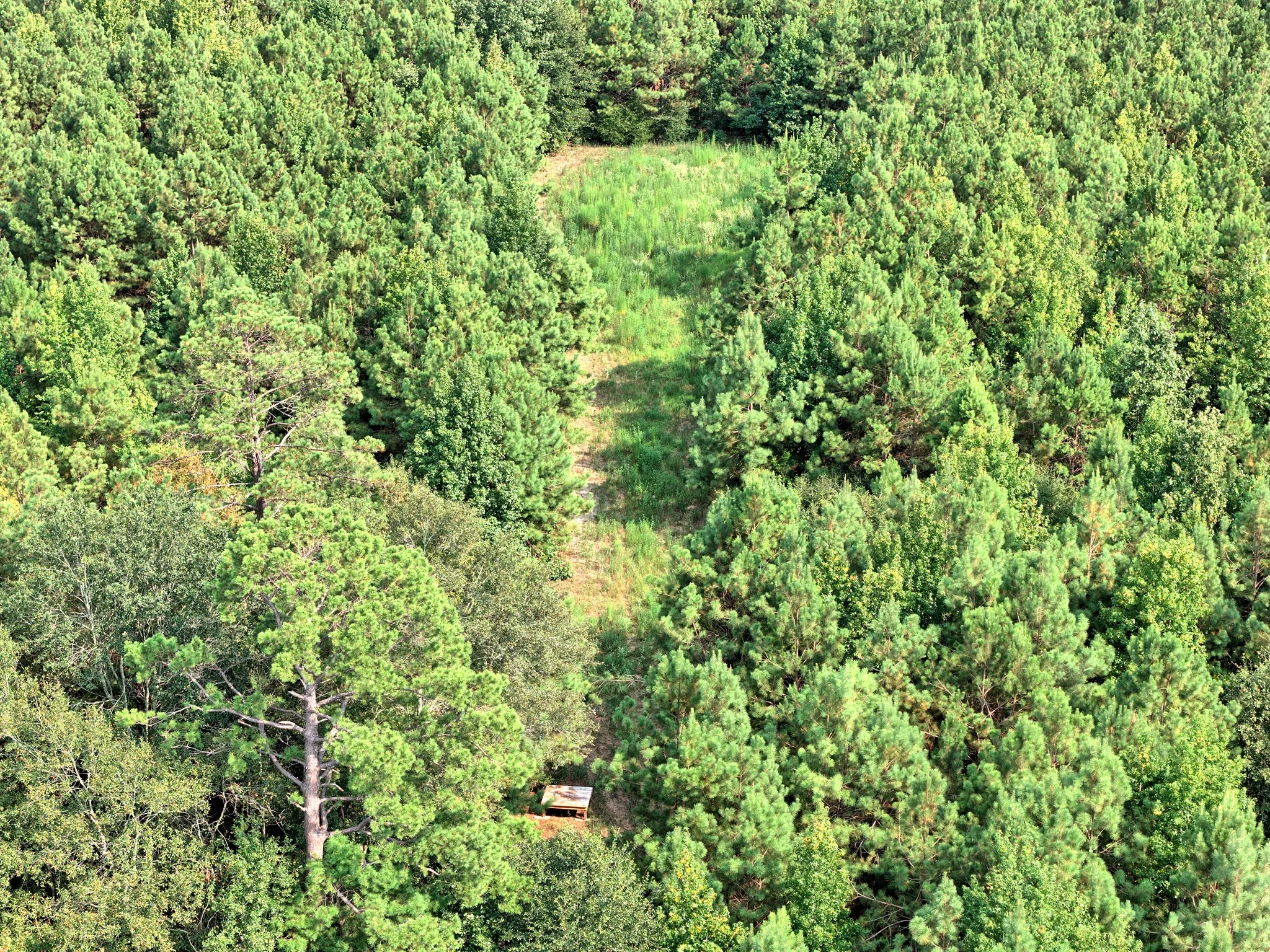 Unimproved Land For Sale in Panola County , 00 County Road 164, Long Branch, Texas 75669, 0, 0, Garage spaces, 0 Sqft, built in 0, mls#21355904, Real Estate Agent in Long Branch, Homes For Sale in Panola county, Homes For Sale in Long Branch, Realtor in Long Branch Texas, Real Estate Brokerage Independent Realty Texas, Luminita Cordes Realtor