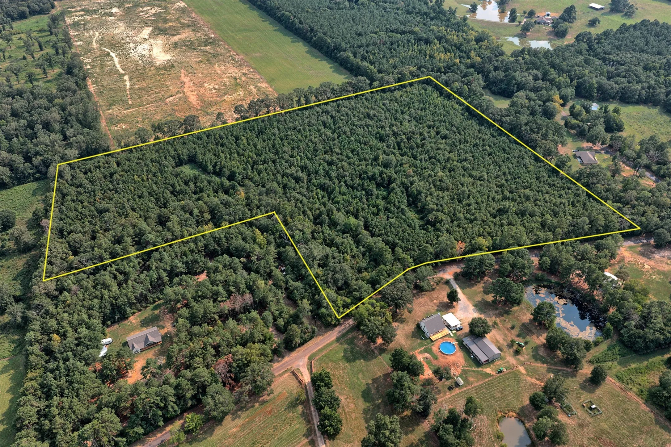 Unimproved Land For Sale in Panola County , 00 County Road 164, Long Branch, Texas 75669, 0, 0, Garage spaces, 0 Sqft, built in 0, mls#21355904, Real Estate Agent in Long Branch, Homes For Sale in Panola county, Homes For Sale in Long Branch, Realtor in Long Branch Texas, Real Estate Brokerage Independent Realty Texas, Luminita Cordes Realtor
