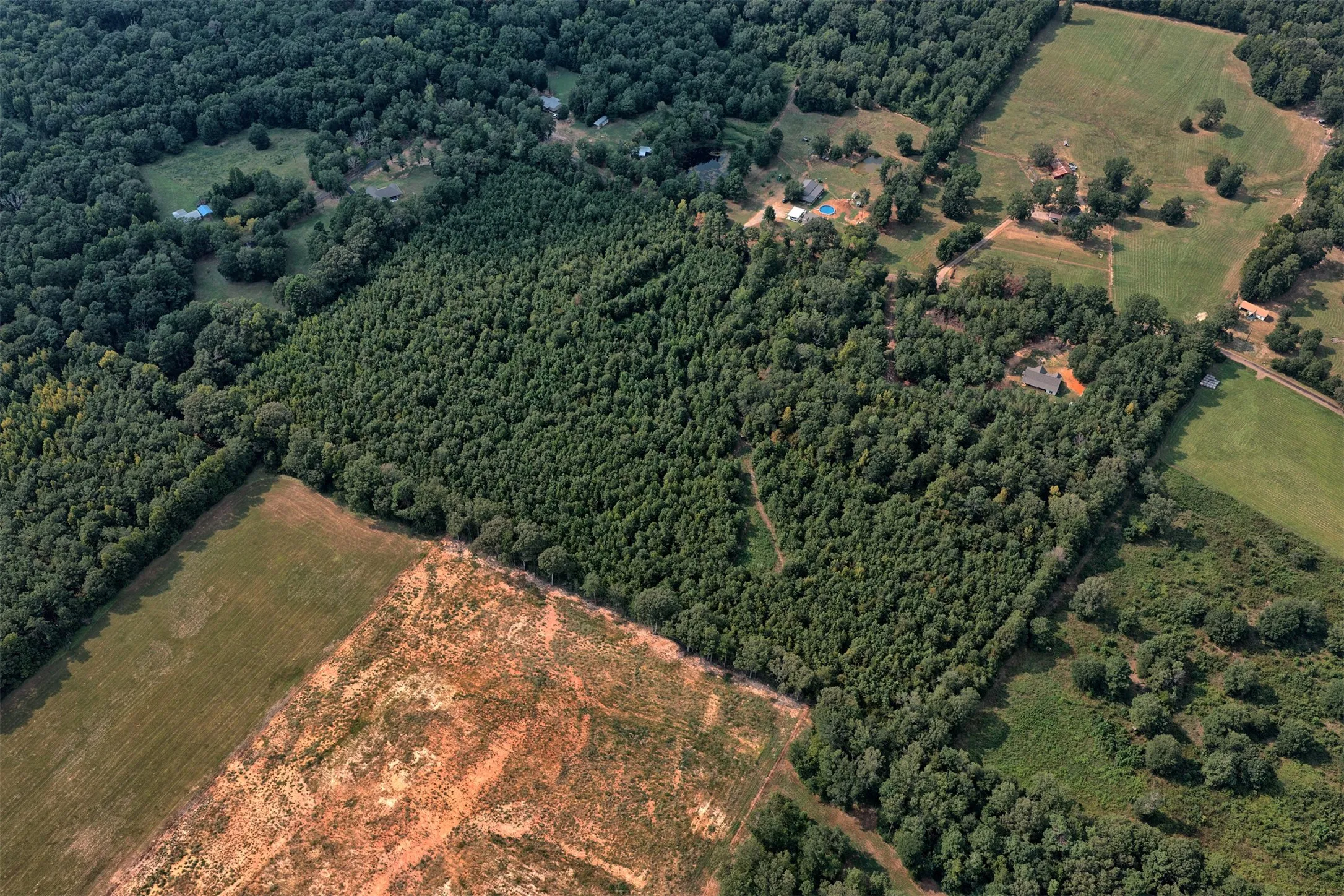 Unimproved Land For Sale in Panola County , 00 County Road 164, Long Branch, Texas 75669, 0, 0, Garage spaces, 0 Sqft, built in 0, mls#21355904, Real Estate Agent in Long Branch, Homes For Sale in Panola county, Homes For Sale in Long Branch, Realtor in Long Branch Texas, Real Estate Brokerage Independent Realty Texas, Luminita Cordes Realtor