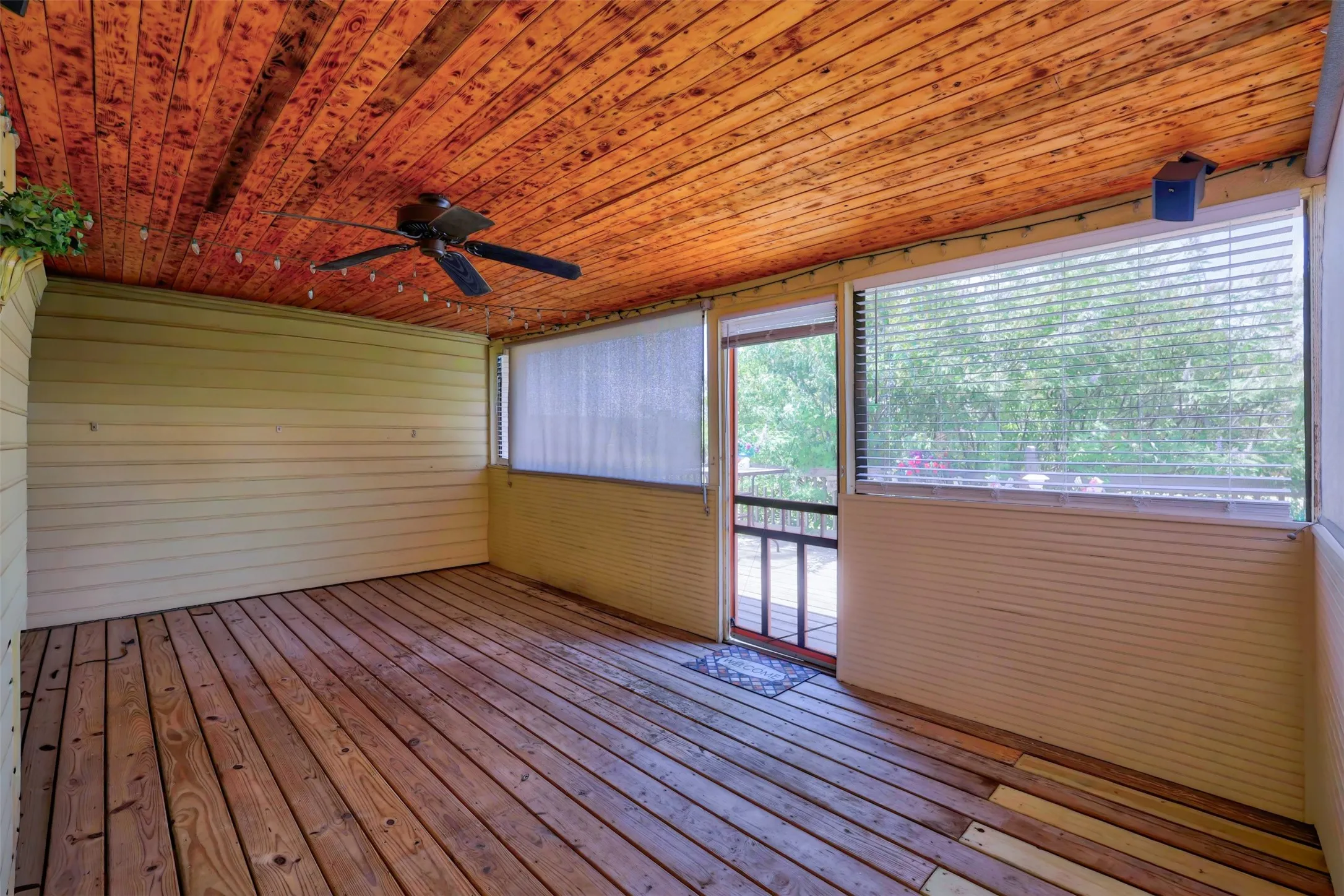 Wood-finish plank flooring with a wood-paneled ceiling, ceiling fan, and screened windows