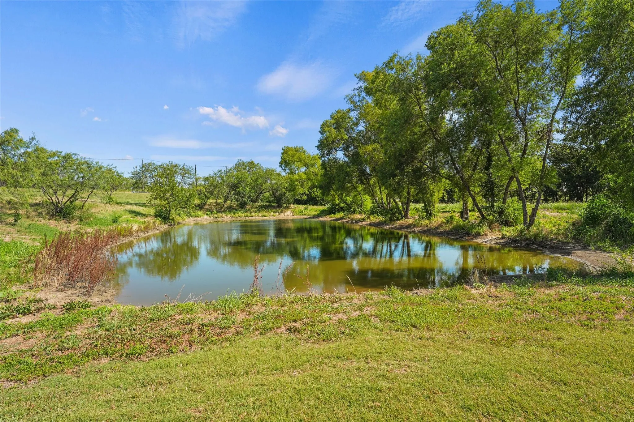 Farm For Sale in Ellis County , 9861 Fm-66, Maypearl, Texas 76064, 3 Bedroom, 4 Bathroom, Garage spaces, 2,461 Sqft, built in 2023, mls#21357870, Real Estate Agent in Maypearl, Homes For Sale in Ellis county, Homes For Sale in Maypearl, Realtor in Maypearl Texas, Real Estate Brokerage Independent Realty Texas, Luminita Cordes Realtor