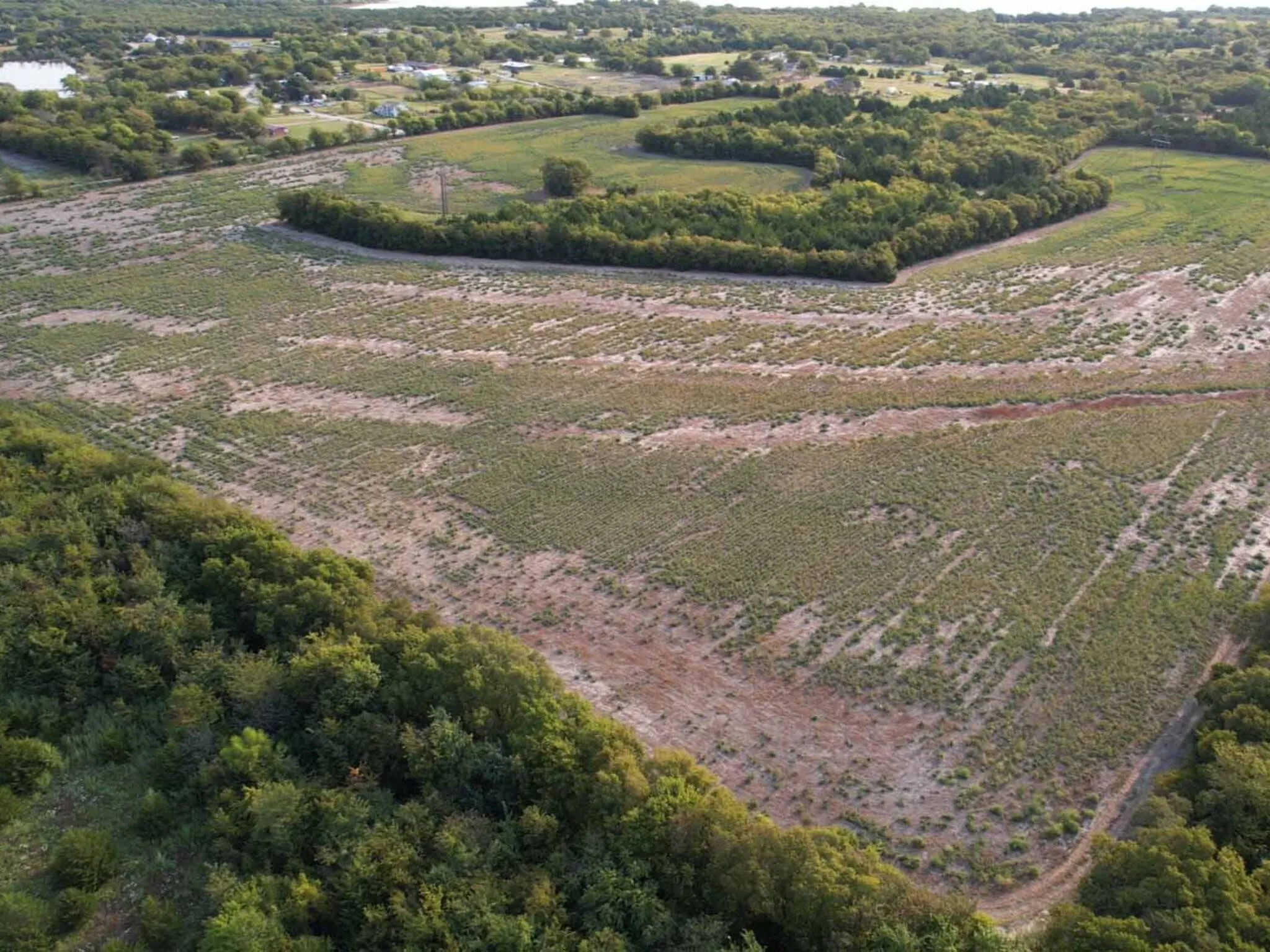 Ranch For Sale in Hunt County , 51.1 Acres County Road 3603, Quinlan, Texas 75474, 0, 0, Garage spaces, 0 Sqft, built in 0, Price $959,500, mls#21357866, Real Estate Agent in Quinlan, Homes For Sale in Hunt county, Homes For Sale in Quinlan, Realtor in Quinlan Texas, Real Estate Brokerage Independent Realty Texas, Luminita Cordes Realtor