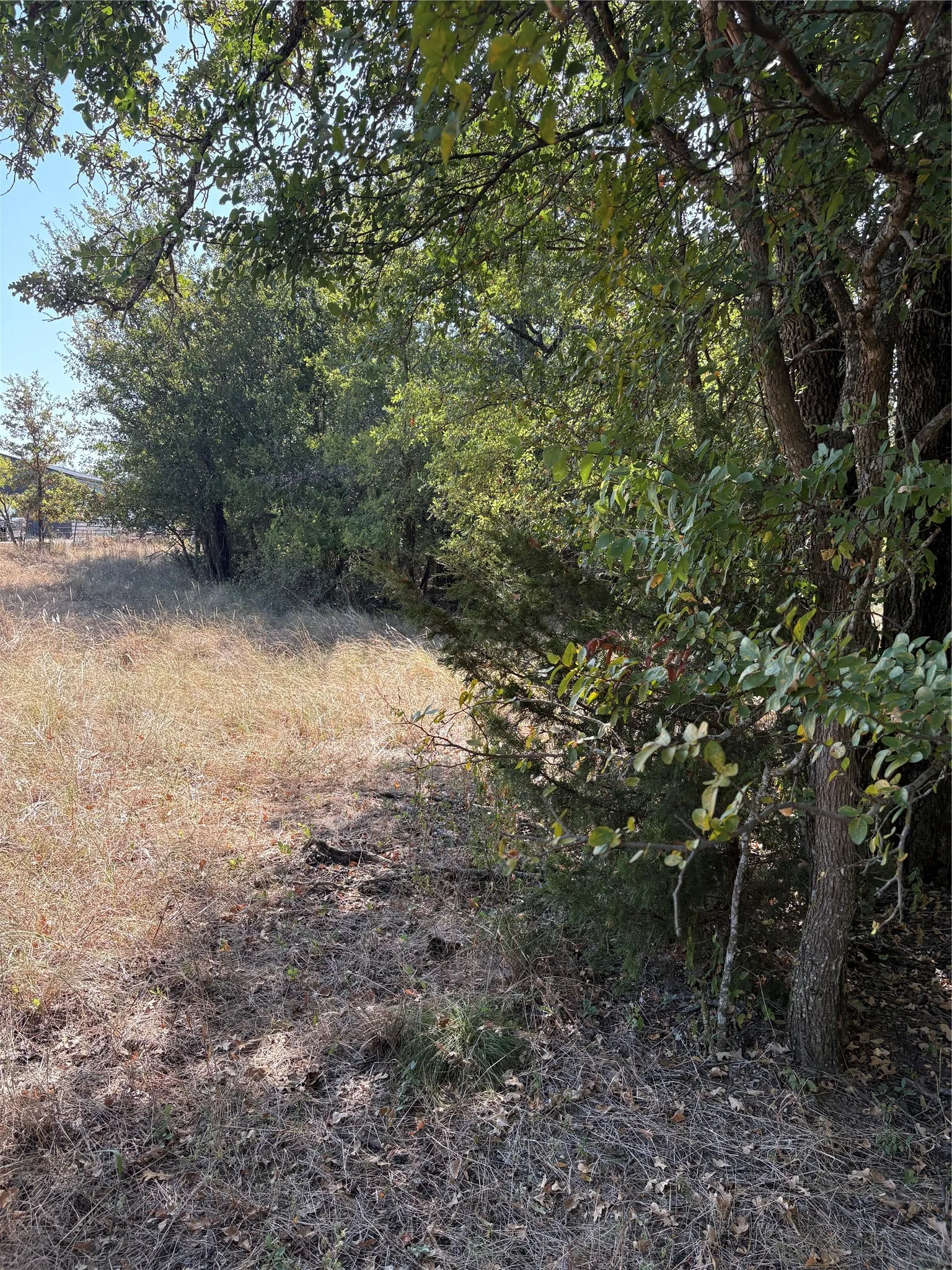 Unimproved Land For Sale in Parker County , 00 Gopher, Weatherford, Texas 76088, 0, 0, Garage spaces, 0 Sqft, built in 0, Price $1,100,000, mls#21357374, Real Estate Agent in Weatherford, Homes For Sale in Parker county, Homes For Sale in Weatherford, Realtor in Weatherford Texas, Real Estate Brokerage Independent Realty Texas, Luminita Cordes Realtor