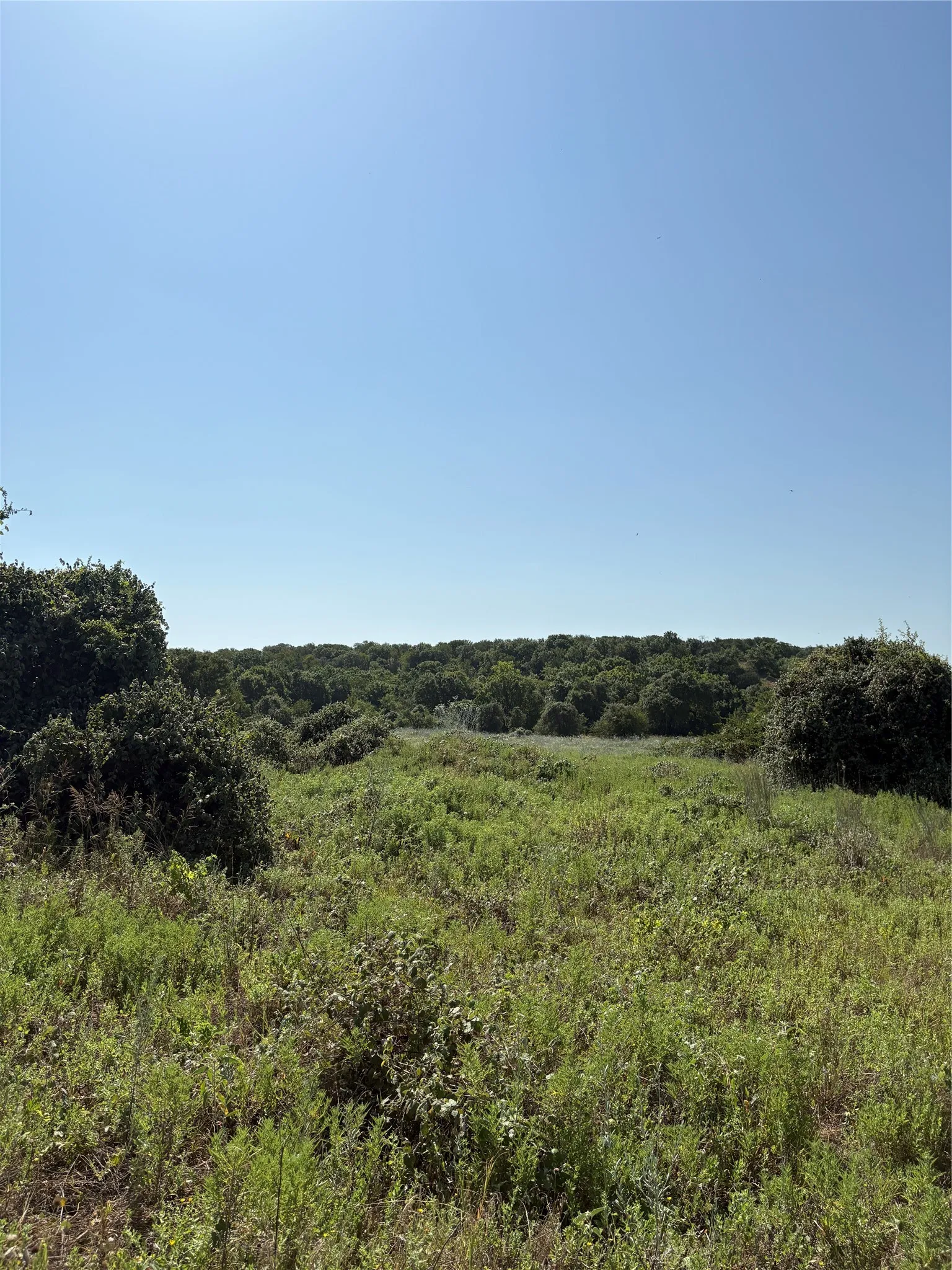 Expansive natural landscape featuring varied vegetation, mature trees, and clear sky