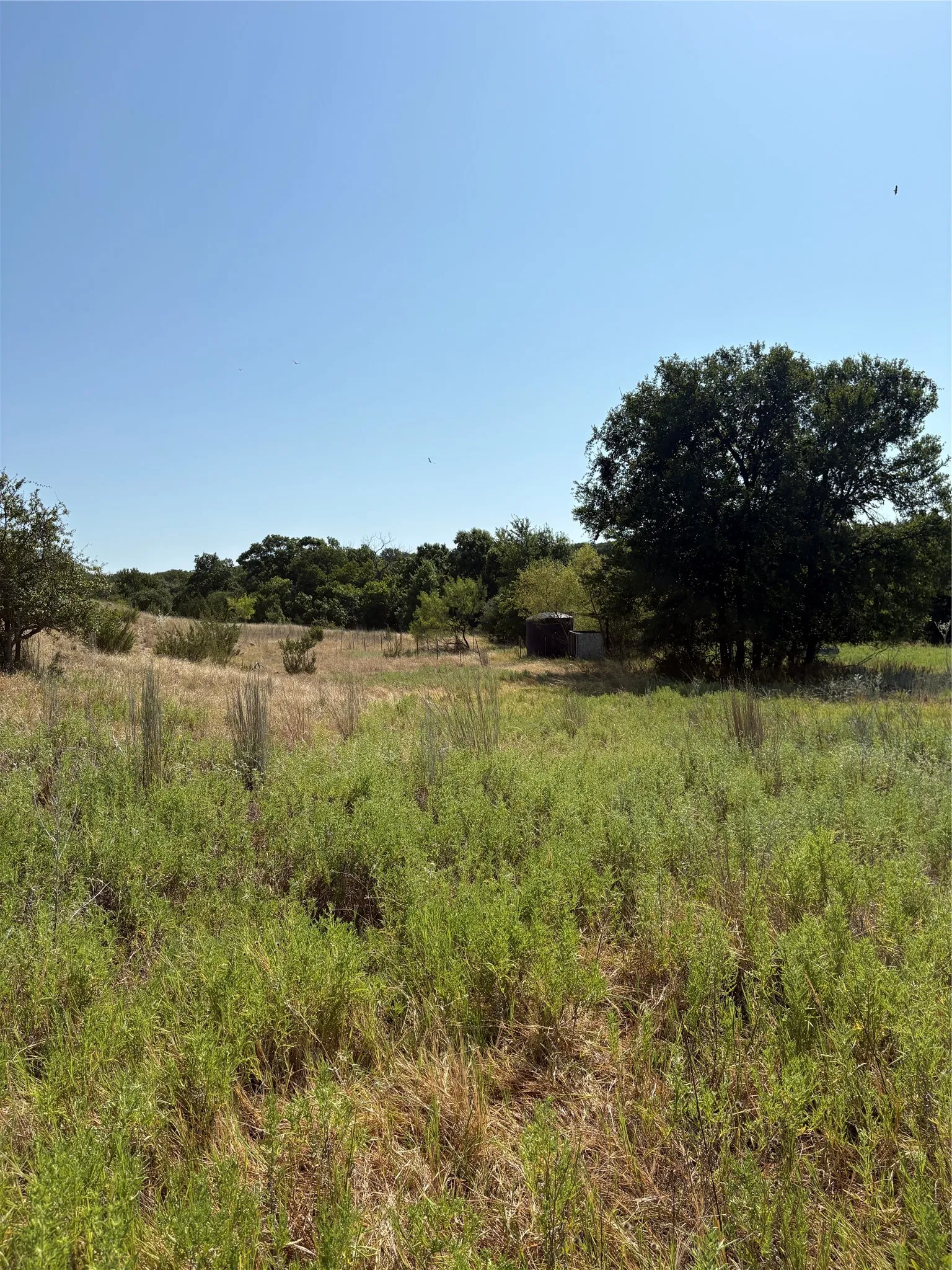 Expansive land featuring natural vegetation and scattered mature trees