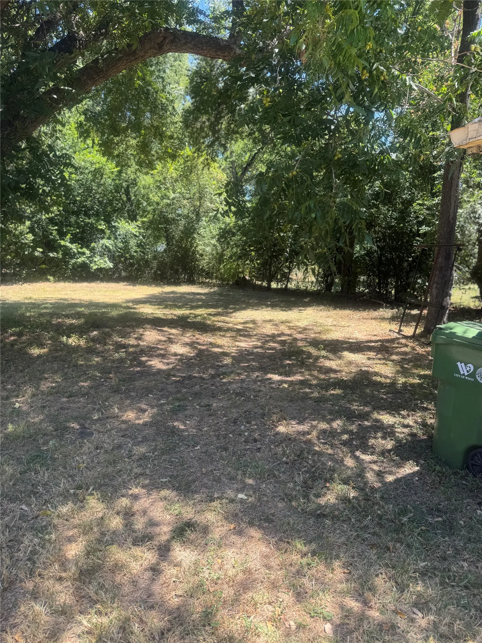 Back yard