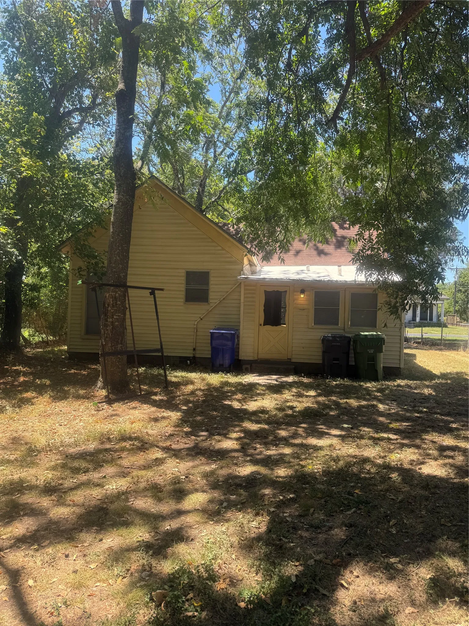 Back of house - large pecan tree