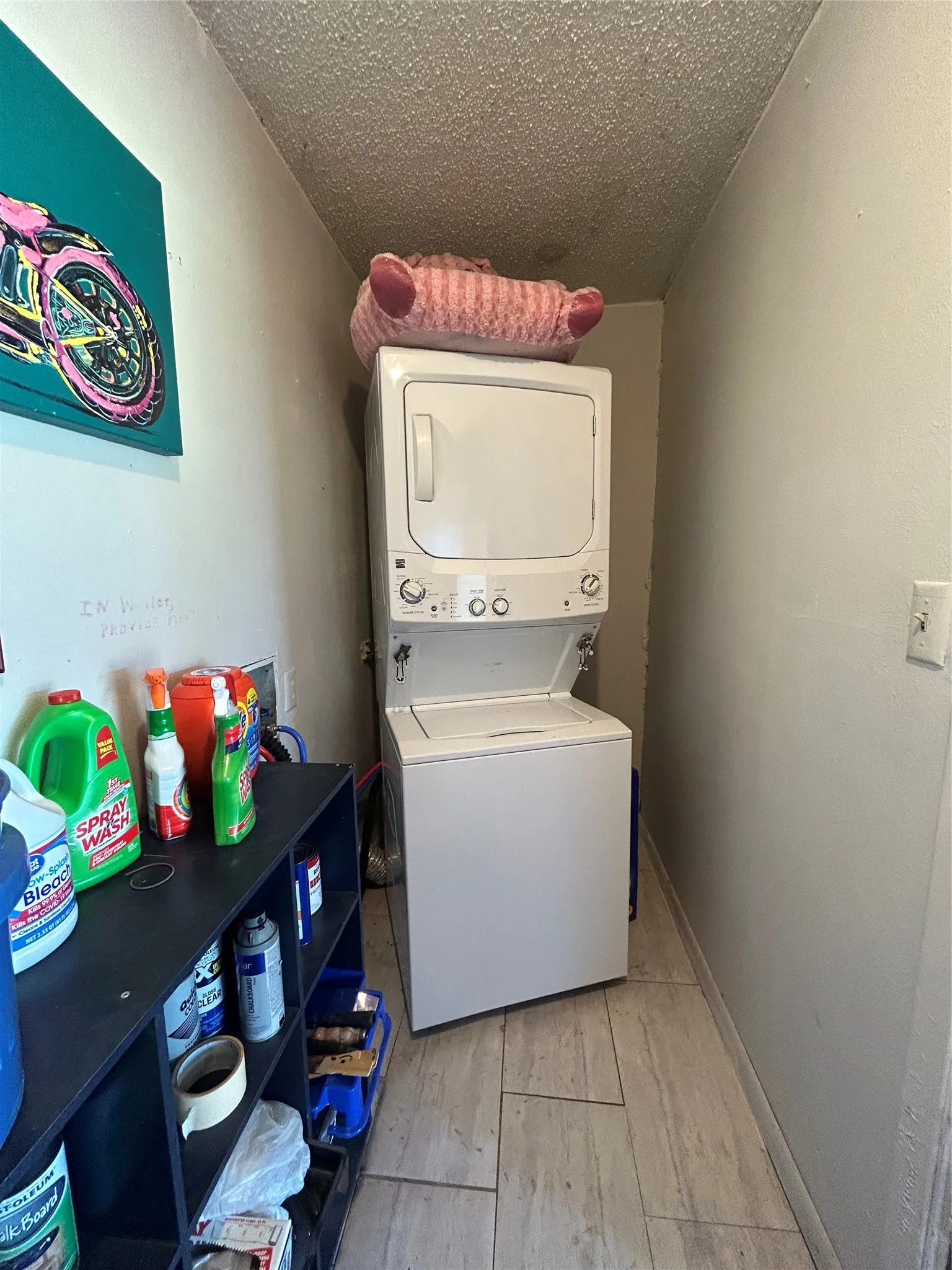 Inside the laundry room to the right
