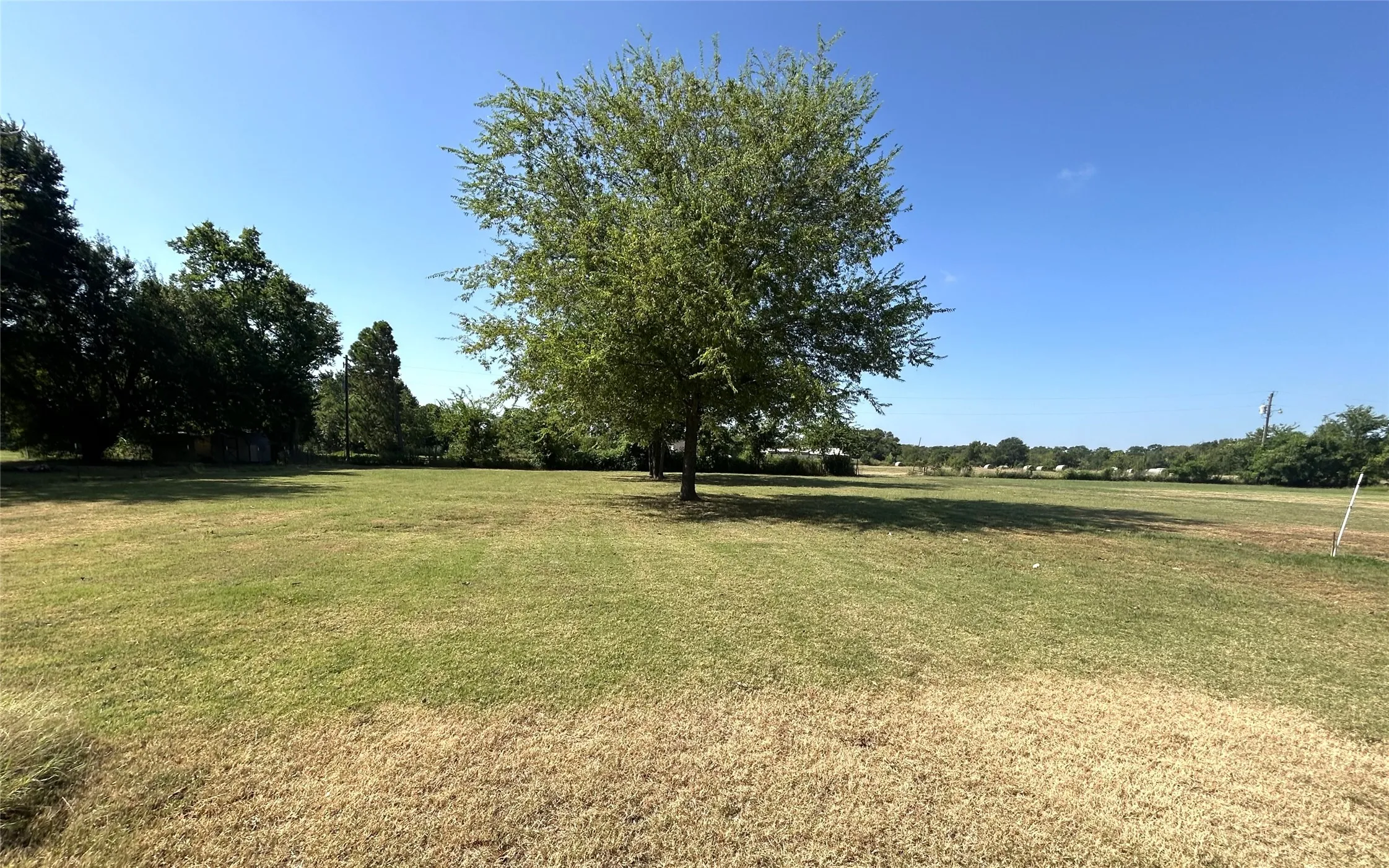 Large yard behind the shop