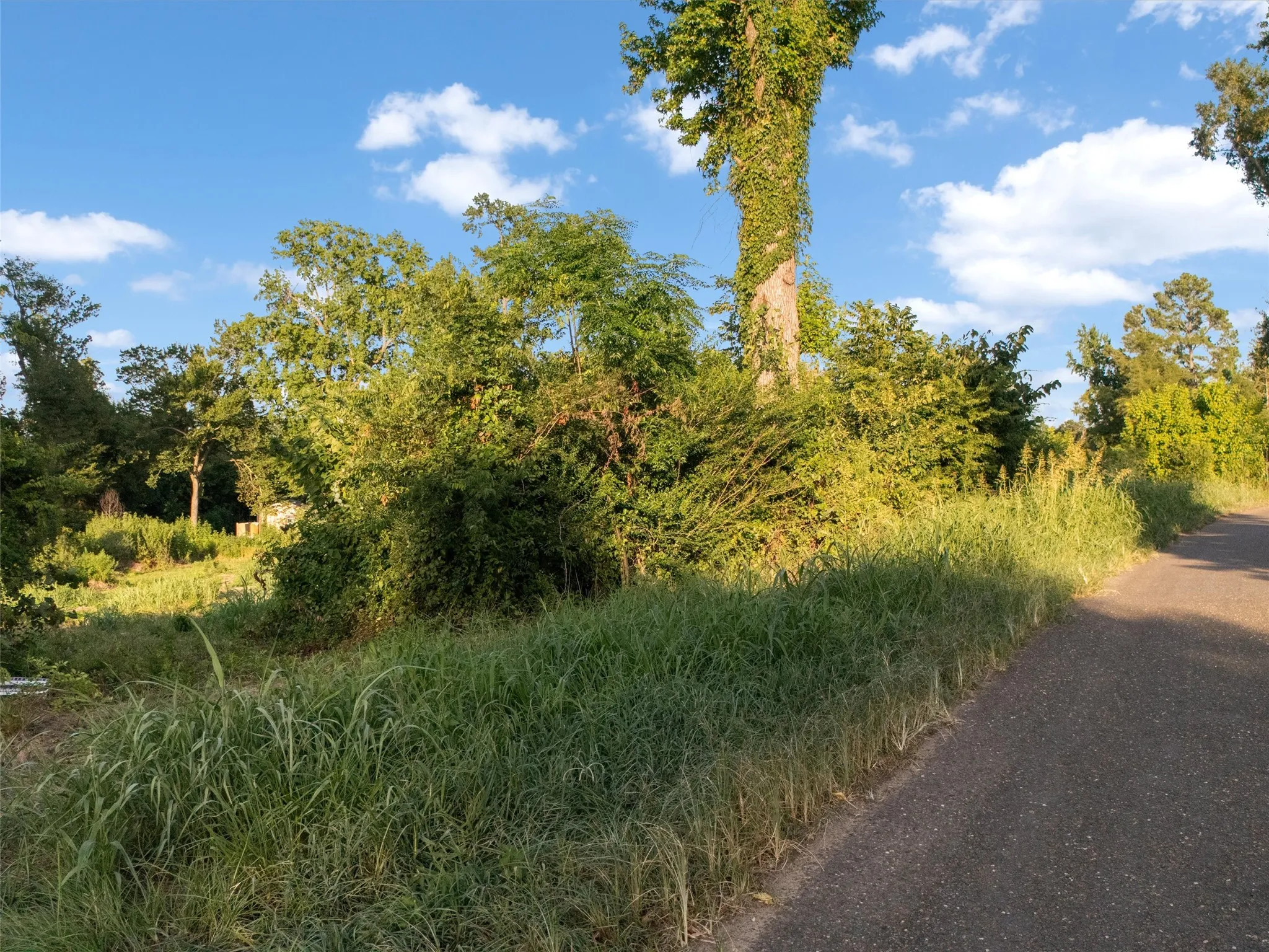 Unimproved Land For Sale in Franklin (TX) County , TBD CR 3260, Winnsboro, Texas 75494, 0, 0, Garage spaces, 0 Sqft, built in 0, mls#21358020, Real Estate Agent in Winnsboro, Homes For Sale in Franklin (TX) county, Homes For Sale in Winnsboro, Realtor in Winnsboro Texas, Real Estate Brokerage Independent Realty Texas, Luminita Cordes Realtor
