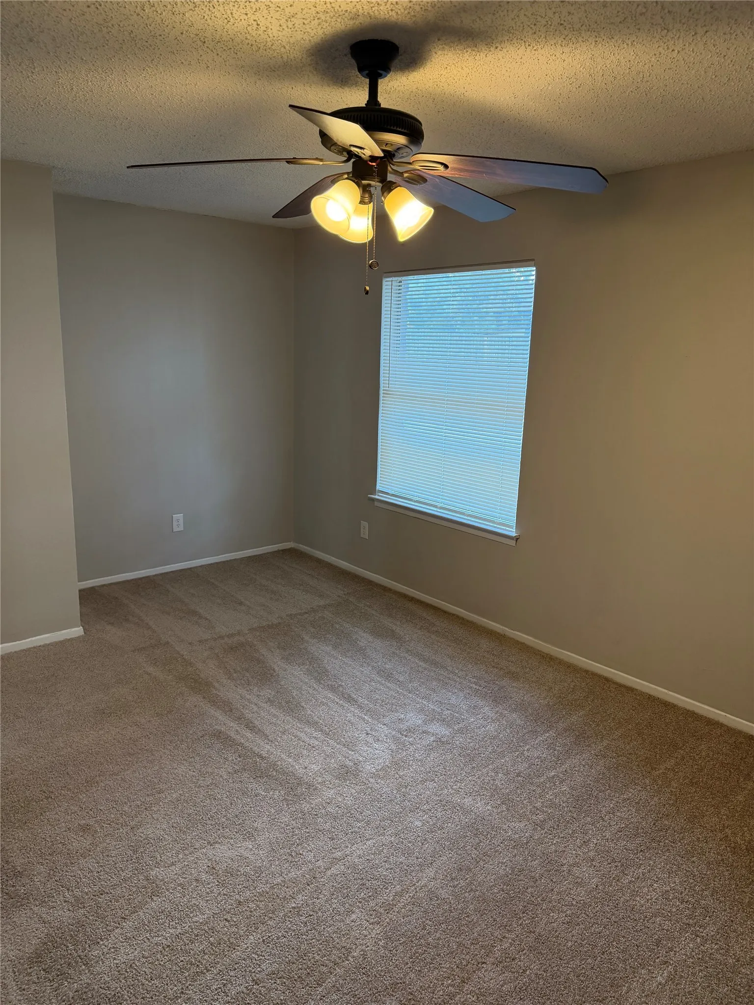 Single Family Residence For Rent in Tarrant County , 1803 Wickersham Drive, Arlington, Texas 76014, 3 Bedroom, 2 Bathroom, 2 Garage spaces, 1,384 Sqft, built in 1977, mls#21358035, Real Estate Agent in Arlington, Homes For Rent in Tarrant county, Homes For Rent in Arlington, Realtor in Arlington Texas, Real Estate Brokerage Independent Realty Texas, Luminita Cordes Realtor