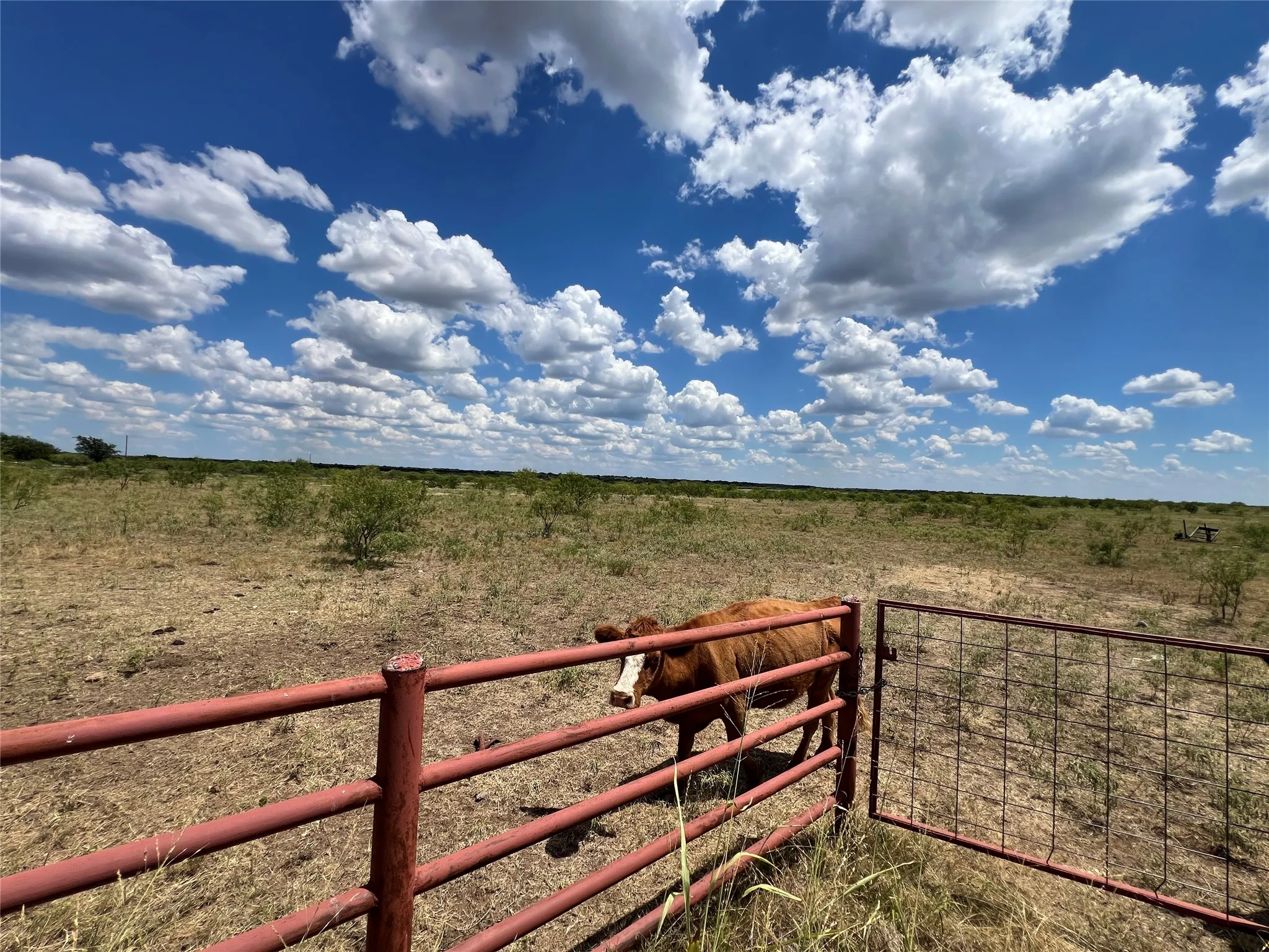 Unimproved Land For Sale in Young County , 0000 Turtle Hole Rd. Road, Graham, Texas 76450, 0, 0, Garage spaces, 0 Sqft, built in 0, mls#21358045, Real Estate Agent in Graham, Homes For Sale in Young county, Homes For Sale in Graham, Realtor in Graham Texas, Real Estate Brokerage Independent Realty Texas, Luminita Cordes Realtor