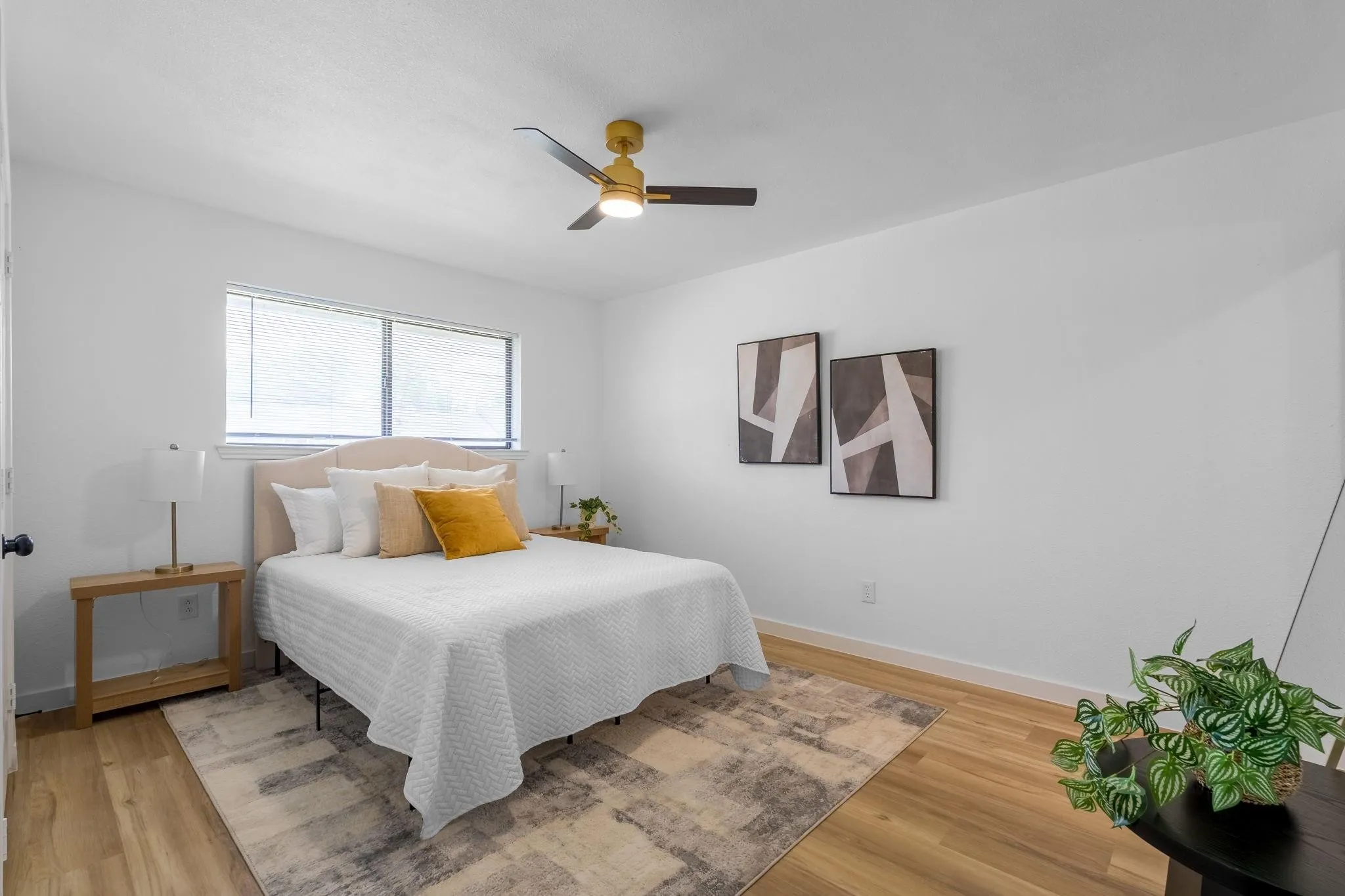 Wood-finish flooring, white walls, and a gold-finish ceiling fan with dark blades
