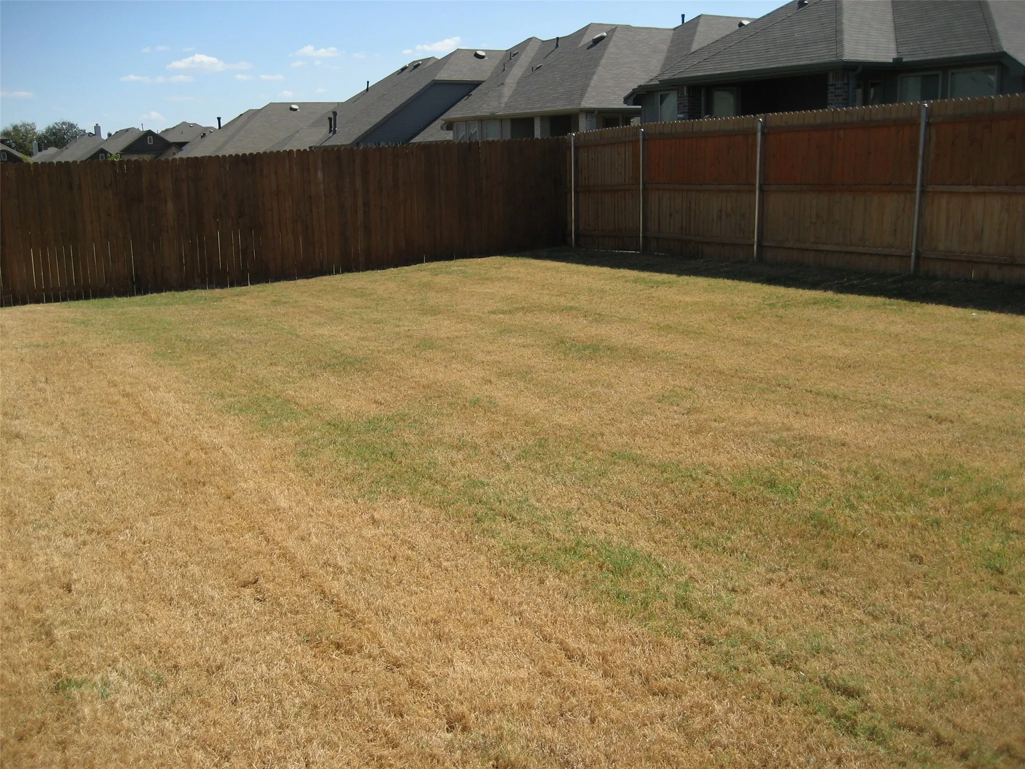 Single Family Residence For Rent in Denton County , 1728 Yellowthroat Drive, Little Elm, Texas 75068, 4 Bedroom, 2 Bathroom, Garage spaces, 2,040 Sqft, built in 2018, mls#21357125, Real Estate Agent in Little Elm, Homes For Rent in Denton county, Homes For Rent in Little Elm, Realtor in Little Elm Texas, Real Estate Brokerage Independent Realty Texas, Luminita Cordes Realtor