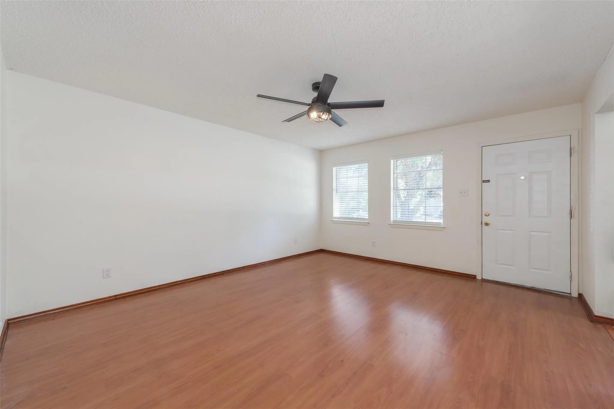 Large living features new windows