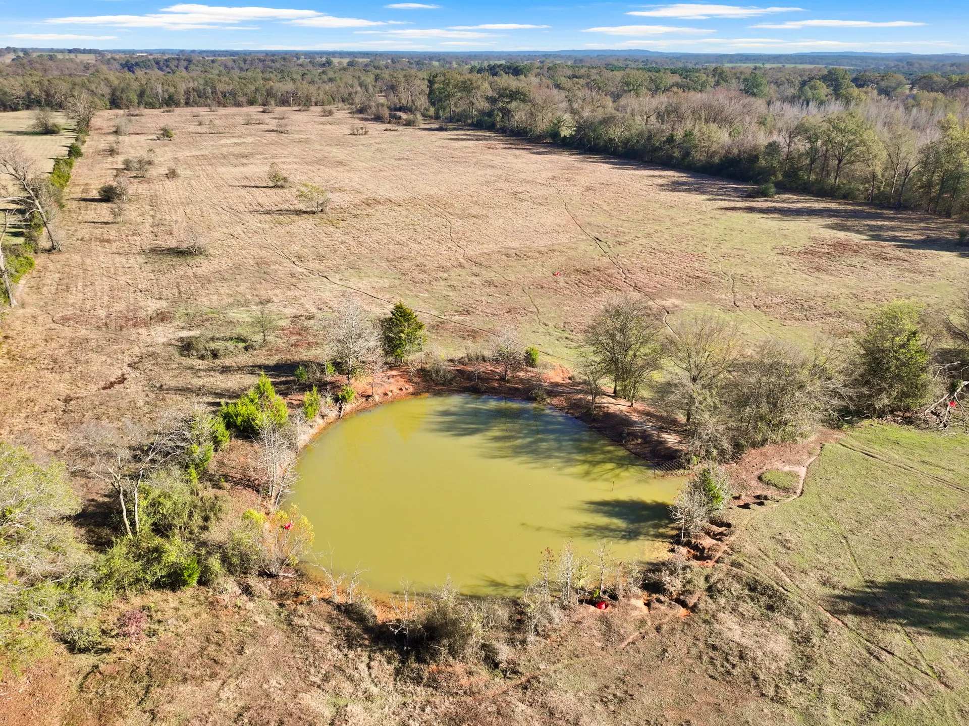Farm For Sale in Titus County , 785 CR 4840 ALL, Mt Pleasant, Texas 75455, 2 Bedroom, 2 Bathroom, Garage spaces, 1,240 Sqft, built in 2017, Price $810,000, mls#21357000, Real Estate Agent in Mt Pleasant, Homes For Sale in Titus county, Homes For Sale in Mt Pleasant, Realtor in Mt Pleasant Texas, Real Estate Brokerage Independent Realty Texas, Luminita Cordes Realtor