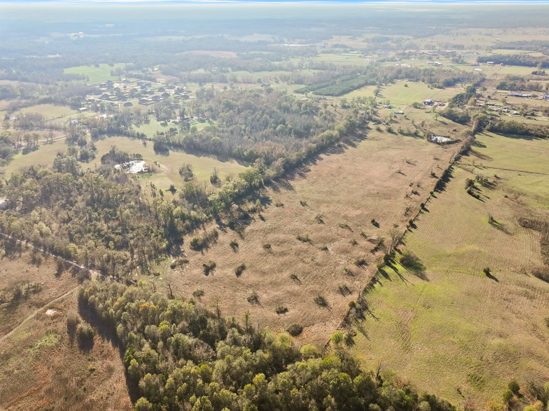 Unimproved Land For Sale in Titus County , TBD A County Road 4840, Mt Pleasant, Texas 75455, 0, 0, Garage spaces, 0 Sqft, built in 0, Price $313,000, mls#21355765, Real Estate Agent in Mt Pleasant, Homes For Sale in Titus county, Homes For Sale in Mt Pleasant, Realtor in Mt Pleasant Texas, Real Estate Brokerage Independent Realty Texas, Luminita Cordes Realtor