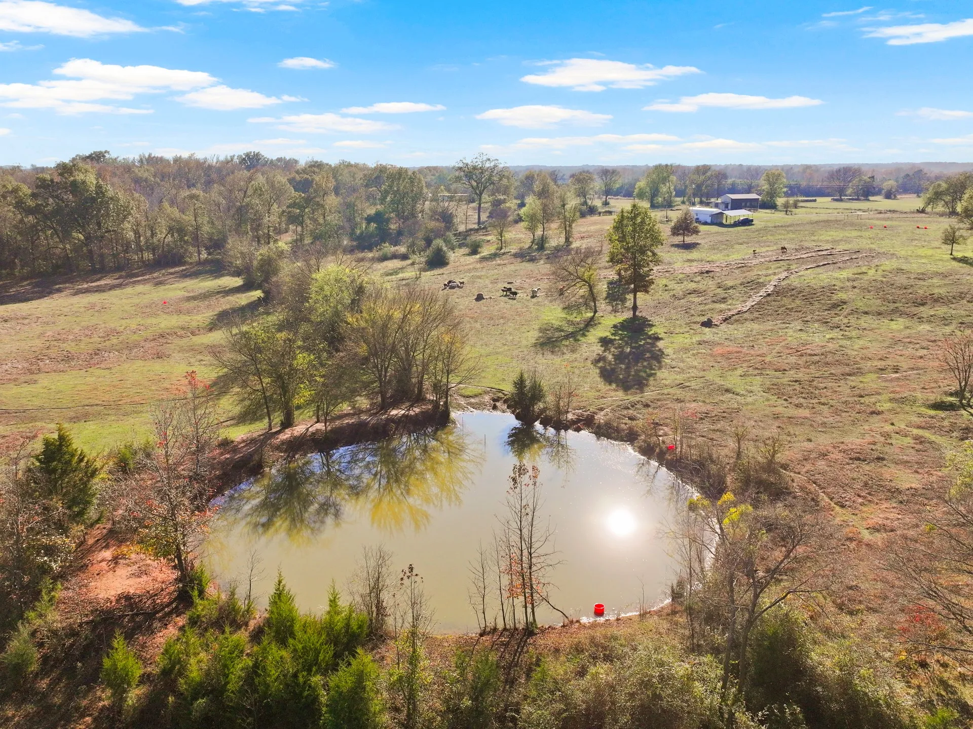 Unimproved Land For Sale in Titus County , TBD A County Road 4840, Mt Pleasant, Texas 75455, 0, 0, Garage spaces, 0 Sqft, built in 0, Price $313,000, mls#21355765, Real Estate Agent in Mt Pleasant, Homes For Sale in Titus county, Homes For Sale in Mt Pleasant, Realtor in Mt Pleasant Texas, Real Estate Brokerage Independent Realty Texas, Luminita Cordes Realtor