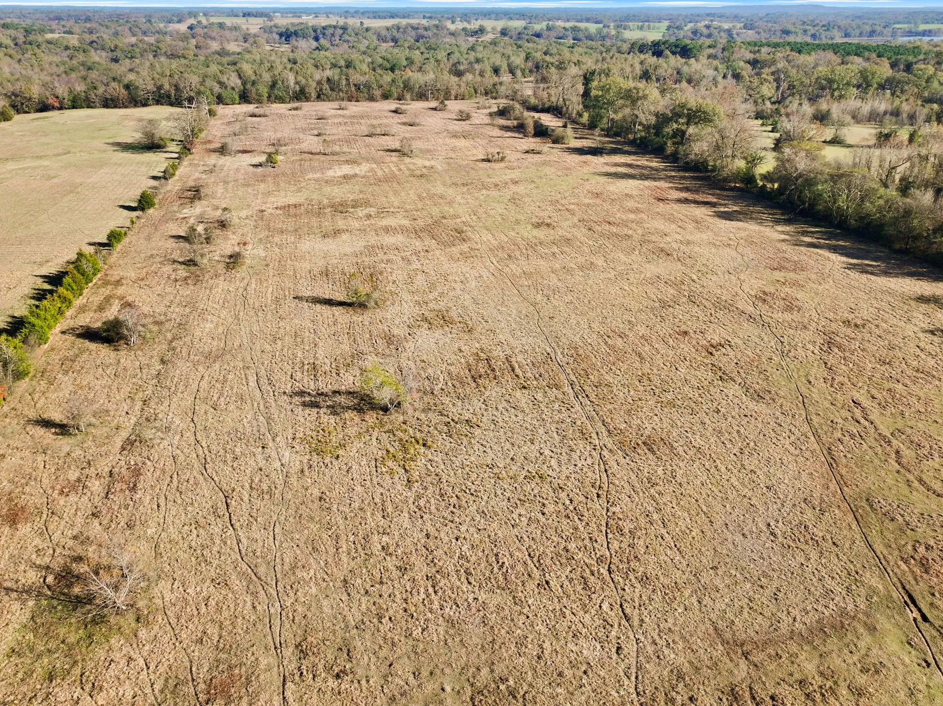 Unimproved Land For Sale in Titus County , TBD A County Road 4840, Mt Pleasant, Texas 75455, 0, 0, Garage spaces, 0 Sqft, built in 0, Price $313,000, mls#21355765, Real Estate Agent in Mt Pleasant, Homes For Sale in Titus county, Homes For Sale in Mt Pleasant, Realtor in Mt Pleasant Texas, Real Estate Brokerage Independent Realty Texas, Luminita Cordes Realtor