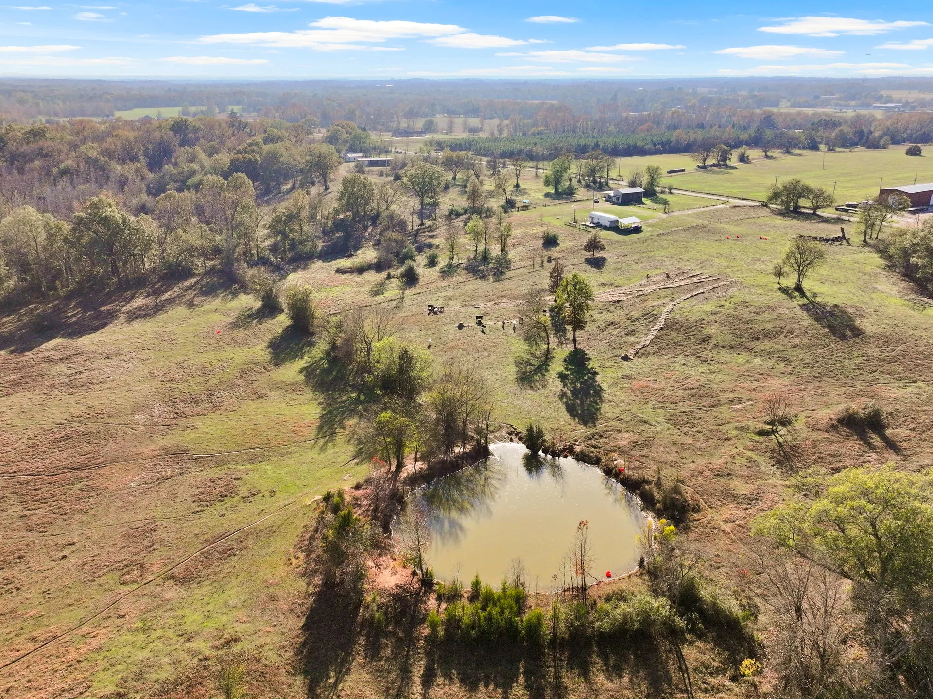 Unimproved Land For Sale in Titus County , TBD A County Road 4840, Mt Pleasant, Texas 75455, 0, 0, Garage spaces, 0 Sqft, built in 0, Price $313,000, mls#21355765, Real Estate Agent in Mt Pleasant, Homes For Sale in Titus county, Homes For Sale in Mt Pleasant, Realtor in Mt Pleasant Texas, Real Estate Brokerage Independent Realty Texas, Luminita Cordes Realtor