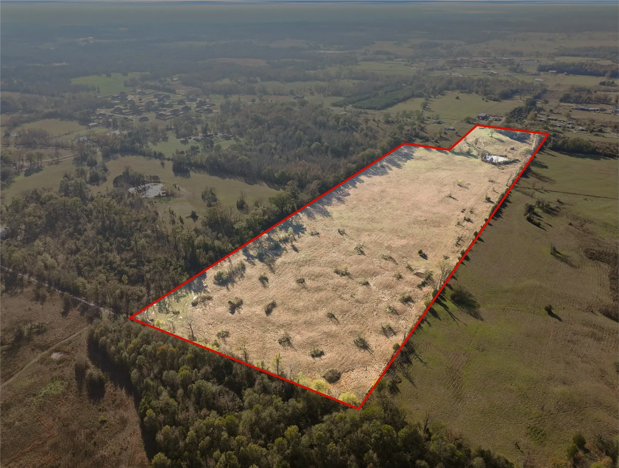 Unimproved Land For Sale in Titus County , TBD A County Road 4840, Mt Pleasant, Texas 75455, 0, 0, Garage spaces, 0 Sqft, built in 0, Price $313,000, mls#21355765, Real Estate Agent in Mt Pleasant, Homes For Sale in Titus county, Homes For Sale in Mt Pleasant, Realtor in Mt Pleasant Texas, Real Estate Brokerage Independent Realty Texas, Luminita Cordes Realtor